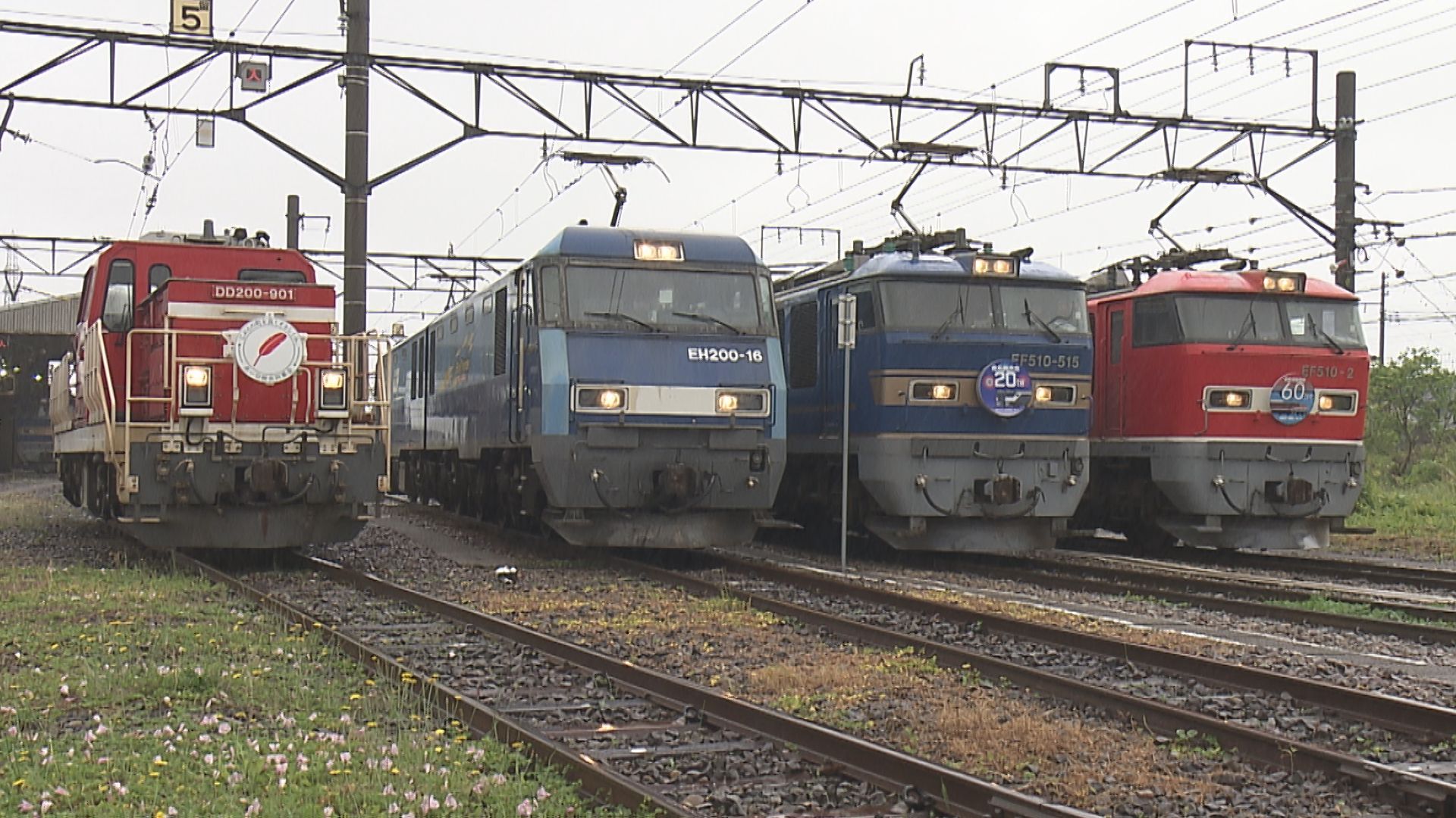 機関車が勢揃い！JR貨物の東新潟機関区で開設60周年イベント【新潟･東区】 2025年05月25日(日)