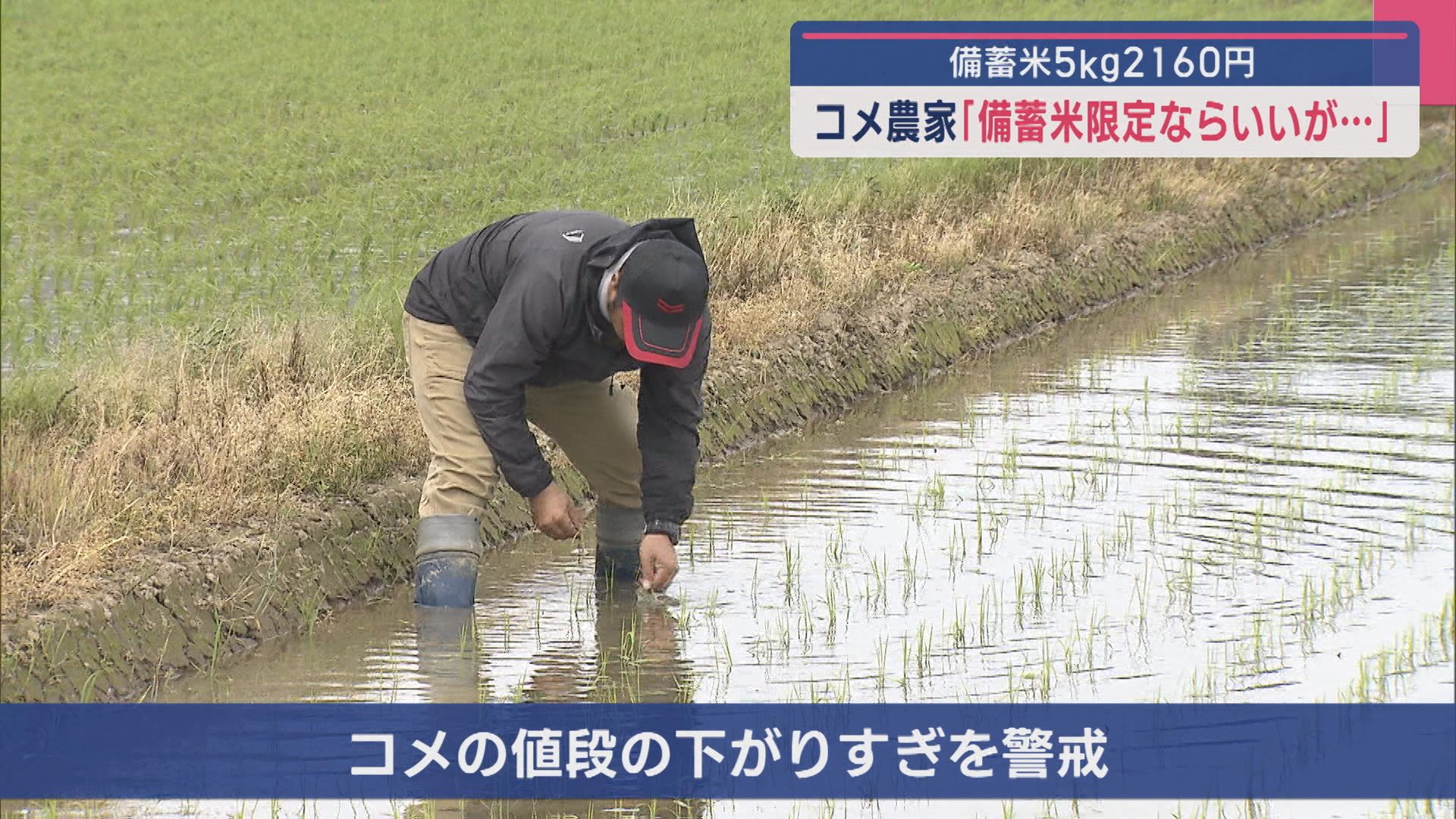 コメ農家「備蓄米限定ならいいが･･･」備蓄米は5kg2160円【新潟】 2025年05月26日(月)