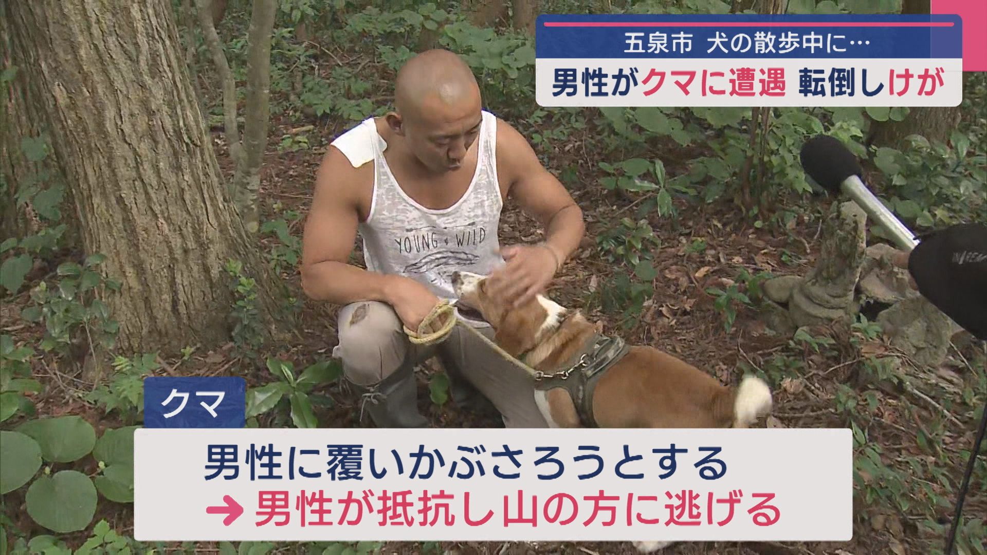 【クマ注意】犬の散歩中にクマに遭遇 転倒し男性がケガ 抵抗･犬がほえクマ逃げる【新潟･五泉市】