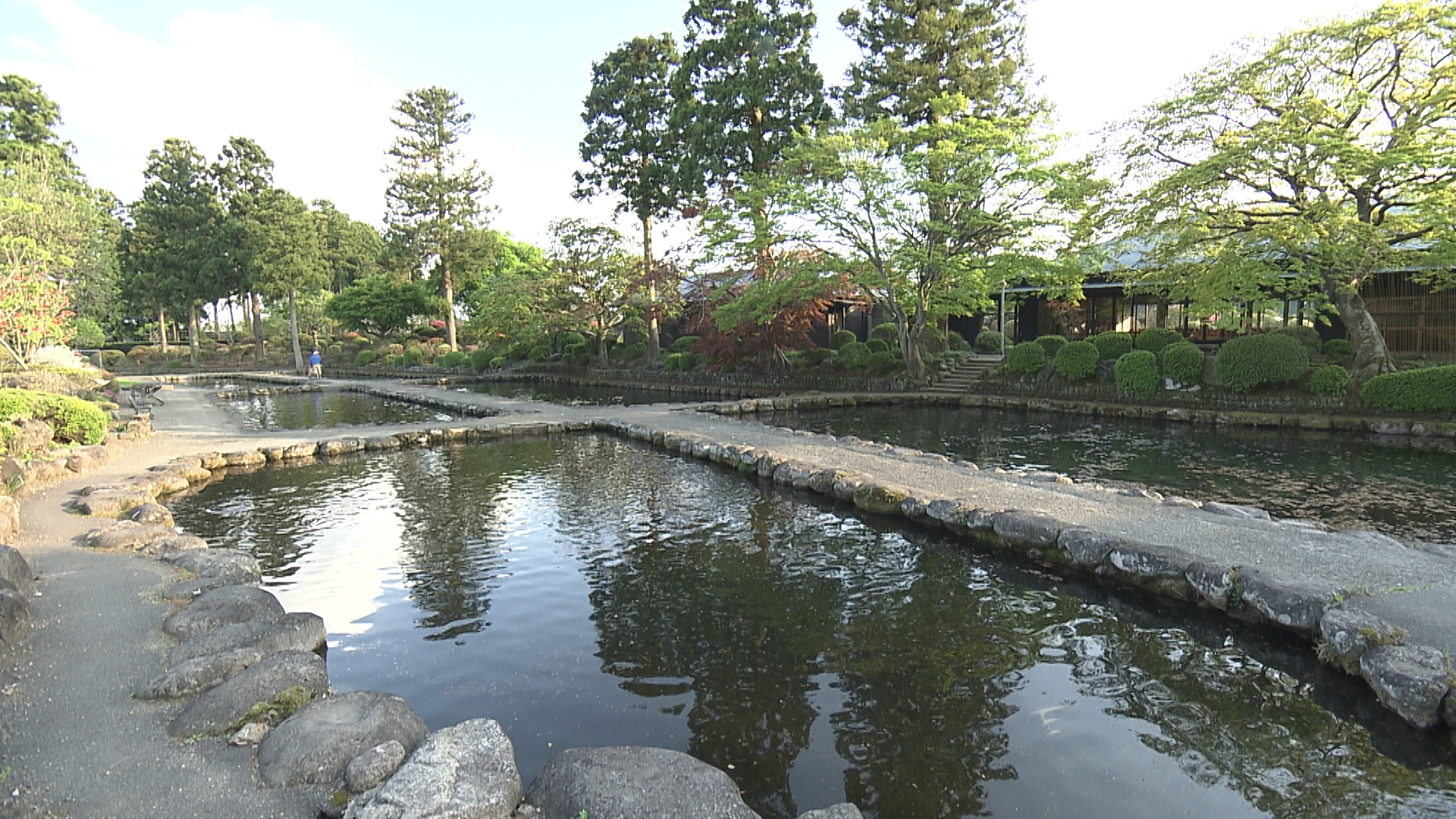林養魚場 ますつり公園（阿武隈川メイプルサーモン）