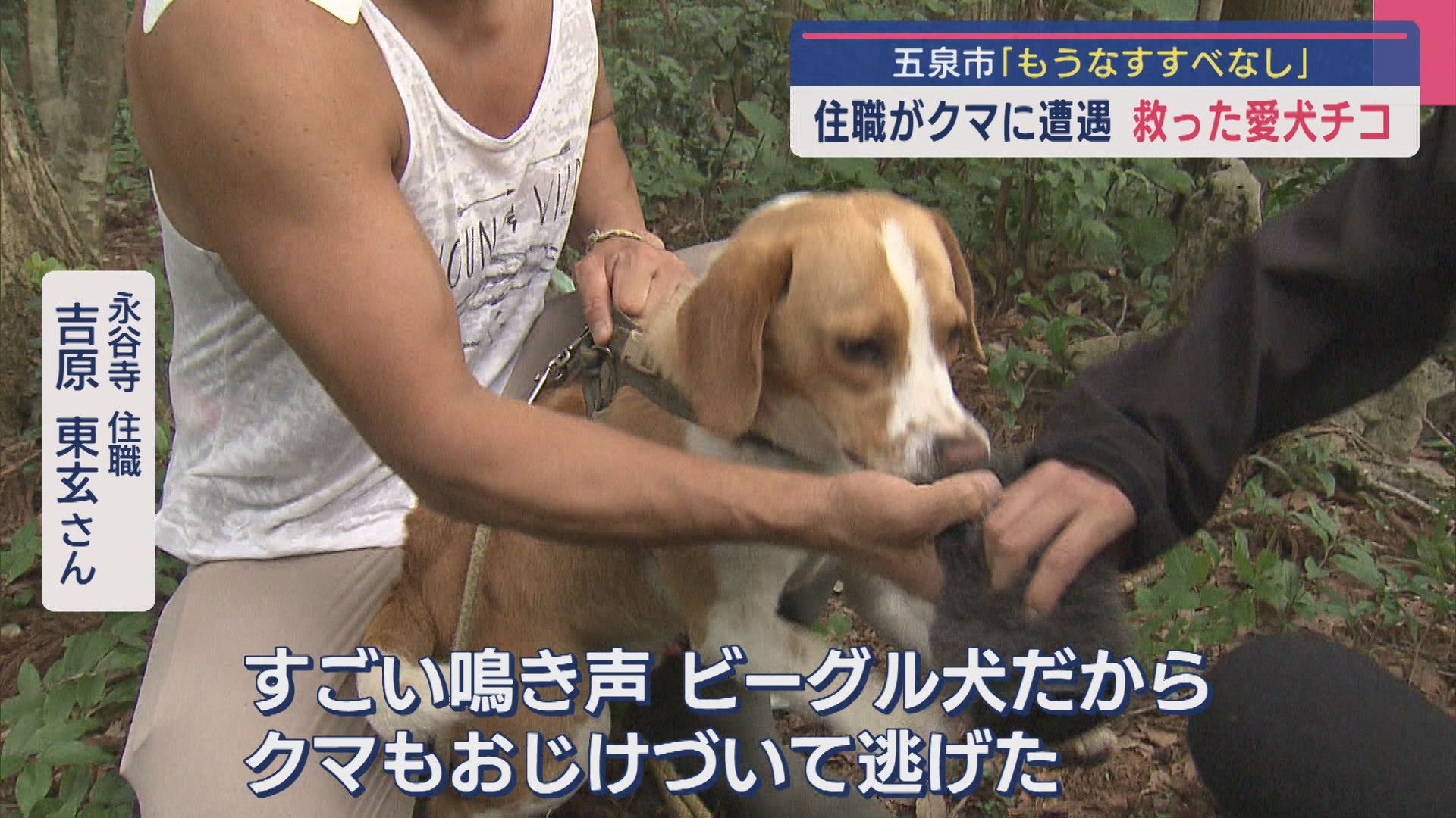 登山道で犬の散歩中 クマに遭遇！住職を救ったのは･･･愛犬ビーグルの「チコ」【新潟･五泉市】 2025年06月03日(火)