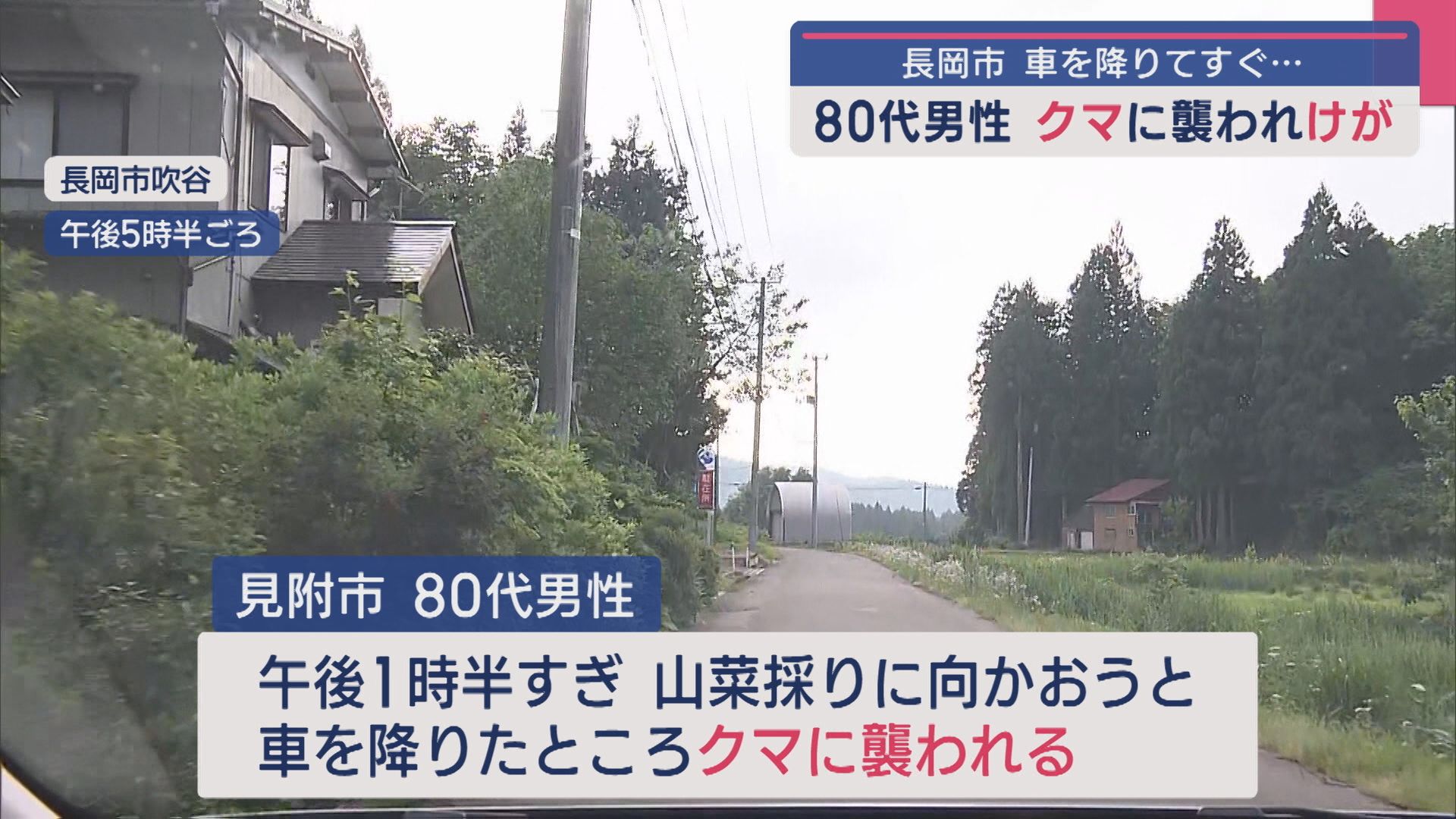 車を降りてすぐ･･･80代男性がクマに襲われケガ、車を降りる前にクラクションを鳴らして警戒を【新潟･長岡市】