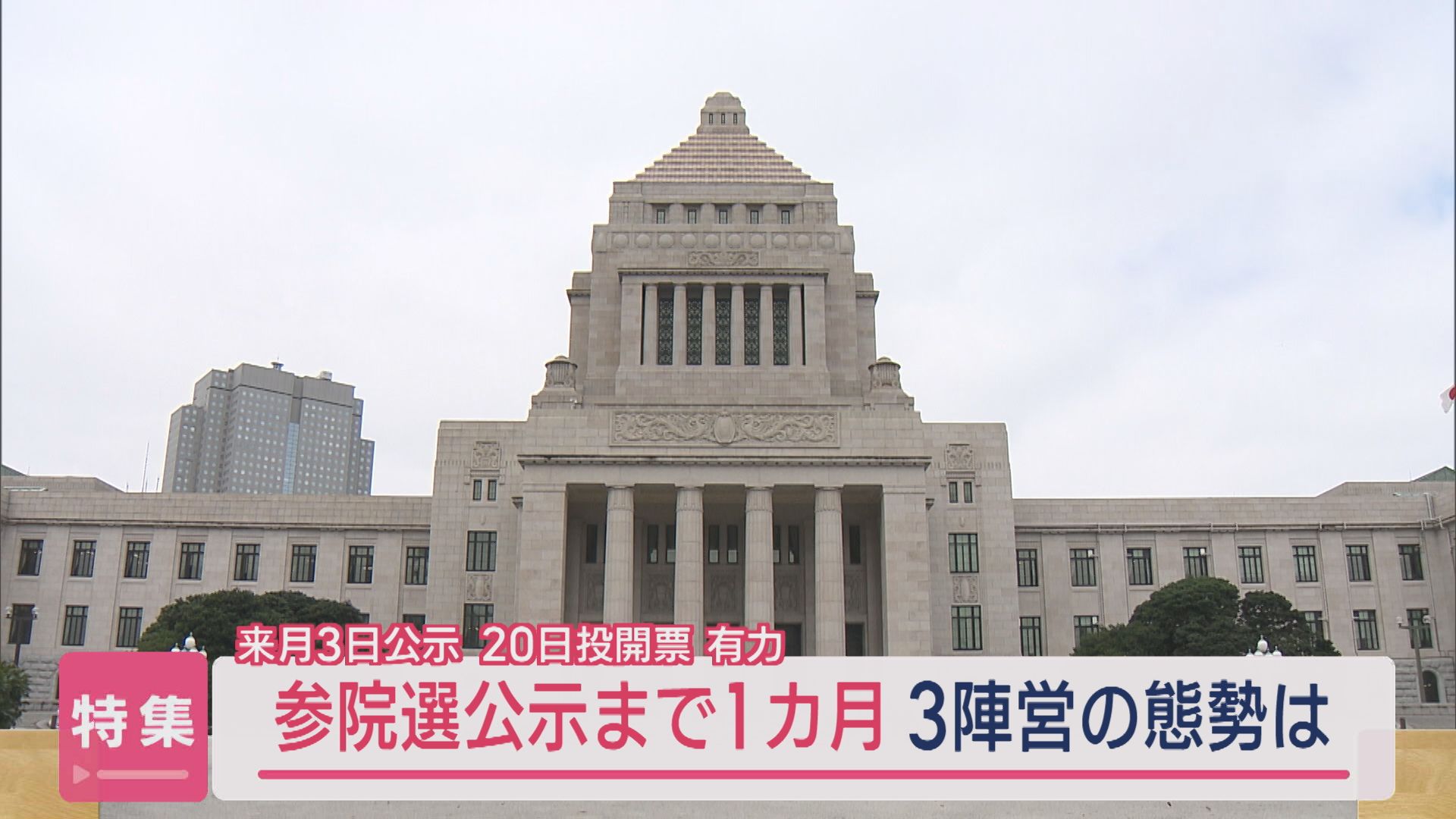 【特集｜参院選公示まで1カ月】3陣営の動きは「7月3日公示、20日投開票」が有力【新潟】