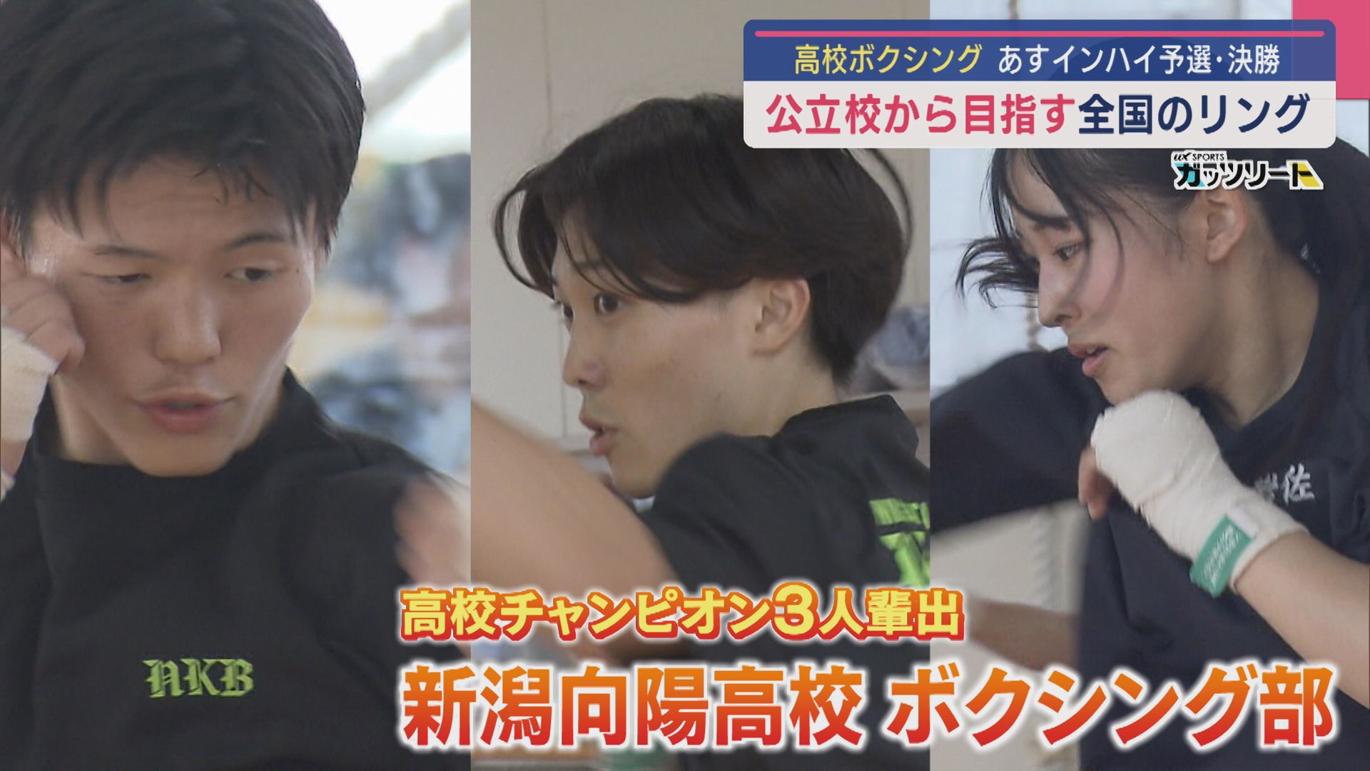 【高校ボクシング｜注目校】拳に青春を！公立高校から全国のリング目指す「新潟向陽」注目の3選手【新潟】