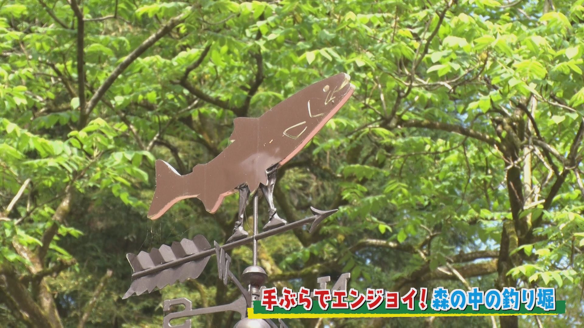 【新潟おでかけ情報】手ぶらでエンジョイ！森の中の釣り堀でLet’sルアーフィッシング！【田上町】 2025年06月10日(火)