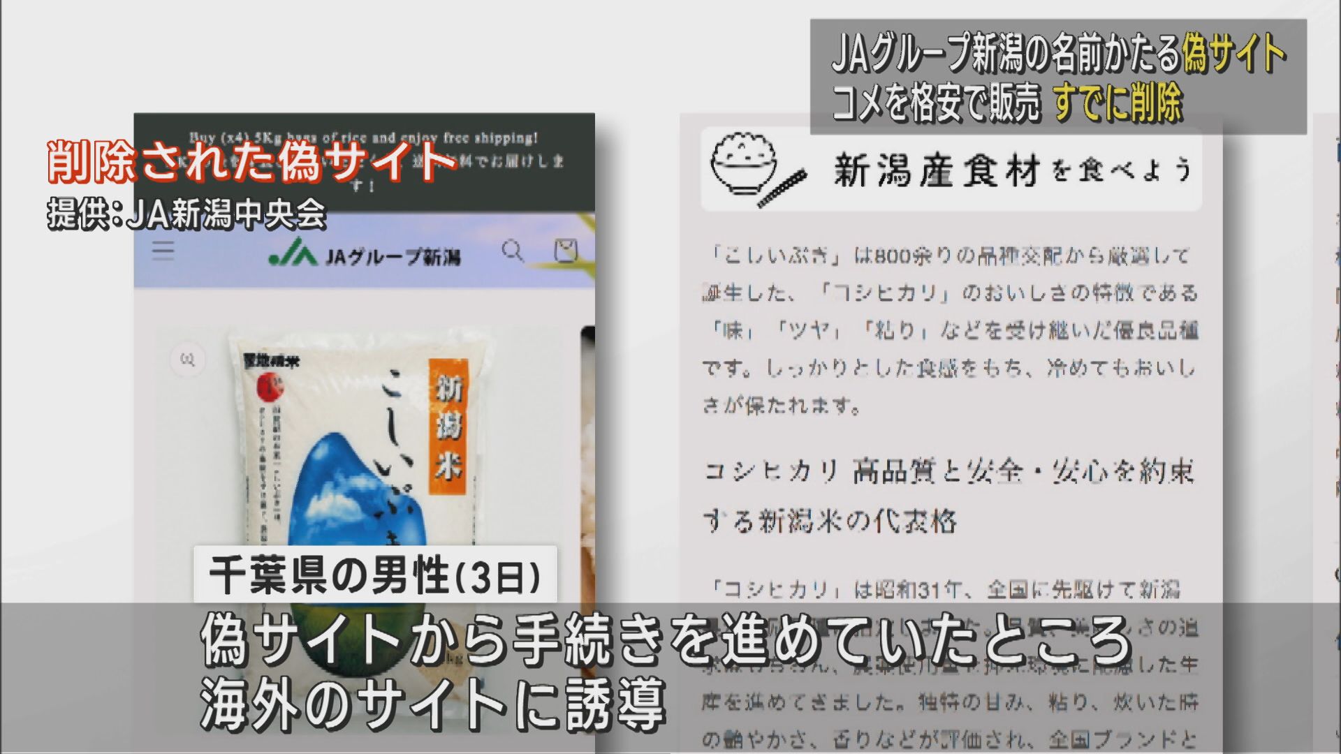 「JAグループ新潟」の名前かたる偽サイト見つかる コメを格安で販売【新潟】