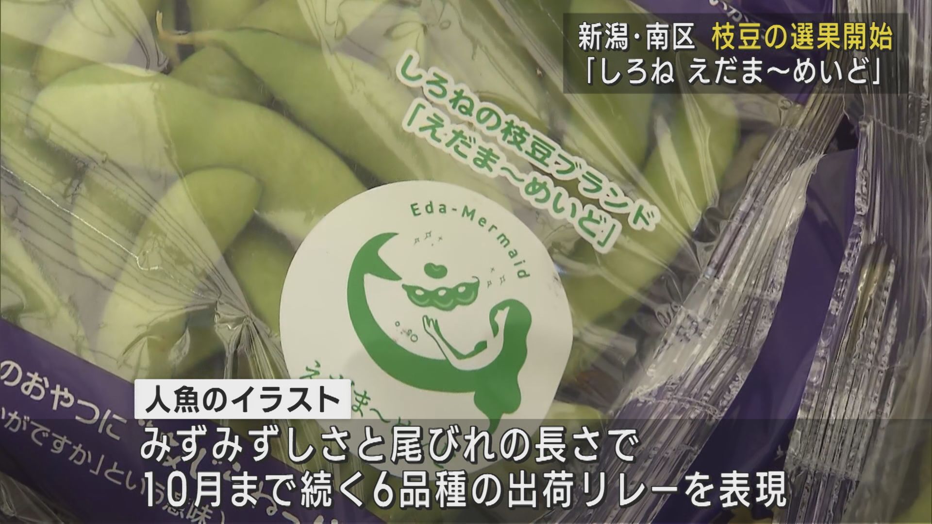 枝豆の新ブランド「しろね えだま～めいど」白根地区で出荷スタート【新潟･南区】 2025年06月16日(月)
