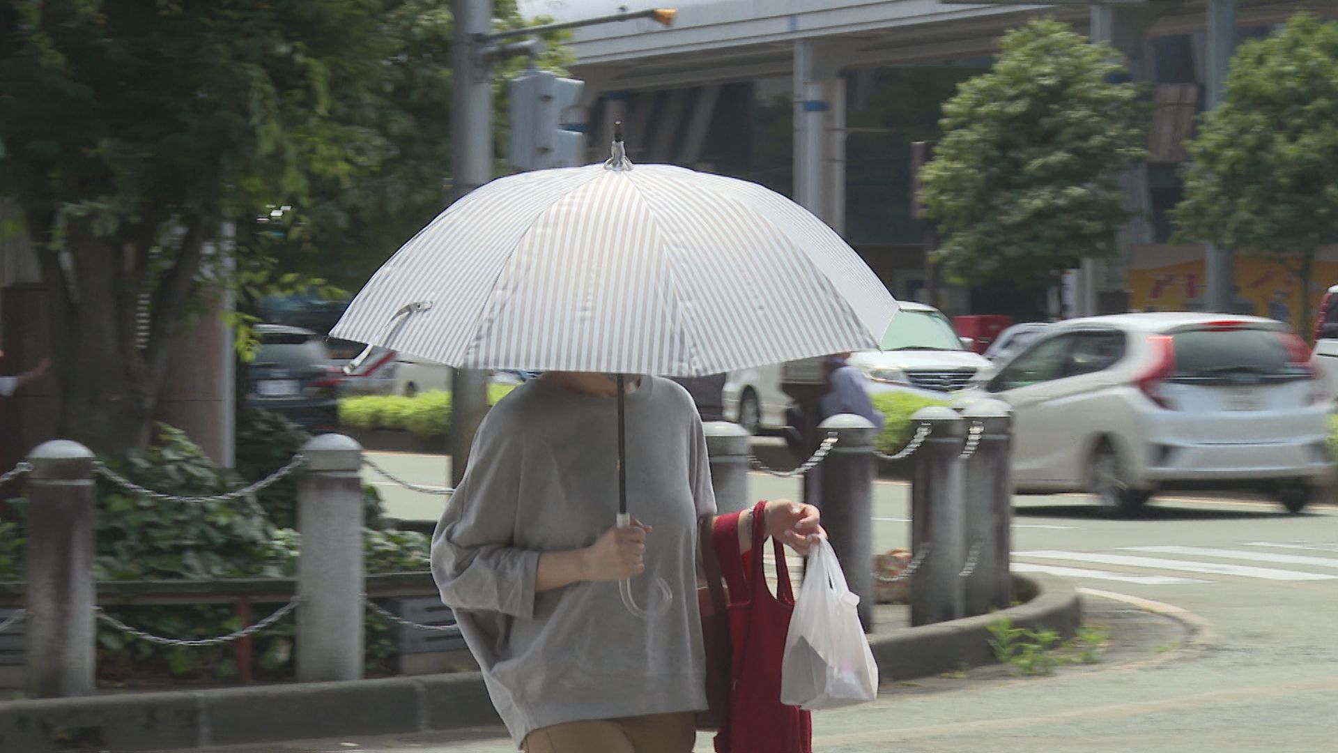各地で気温上昇 糸魚川市や長岡市などで猛暑日【新潟】