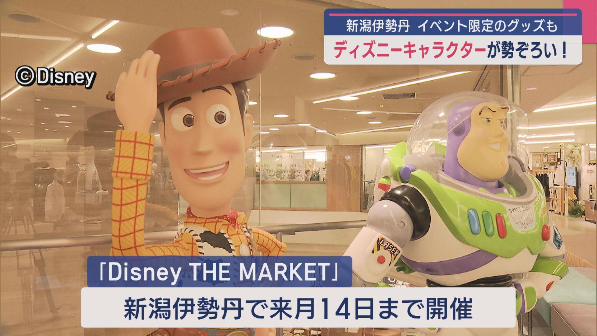 ディズニーキャラクター商品が勢ぞろい！新潟限定グッズも【新潟】