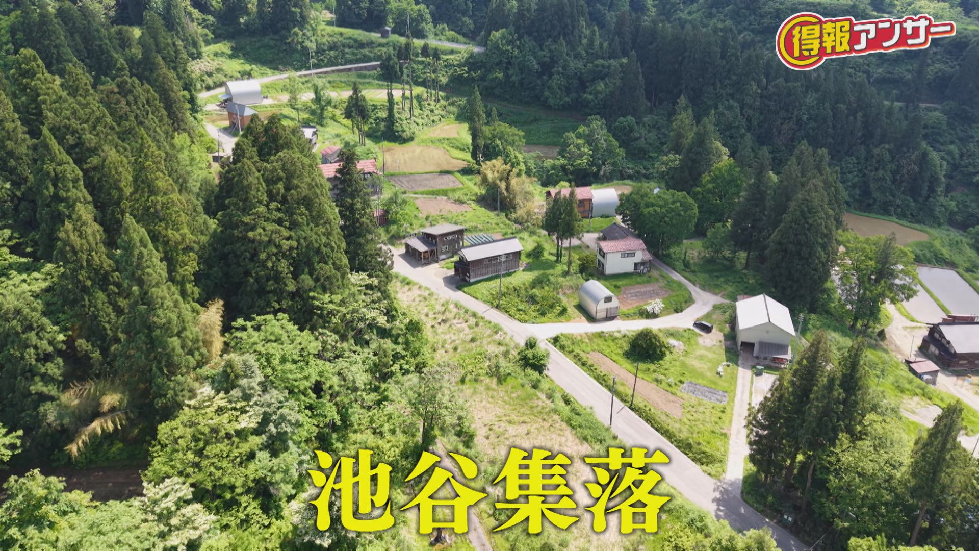 十日町市池谷集落のいま