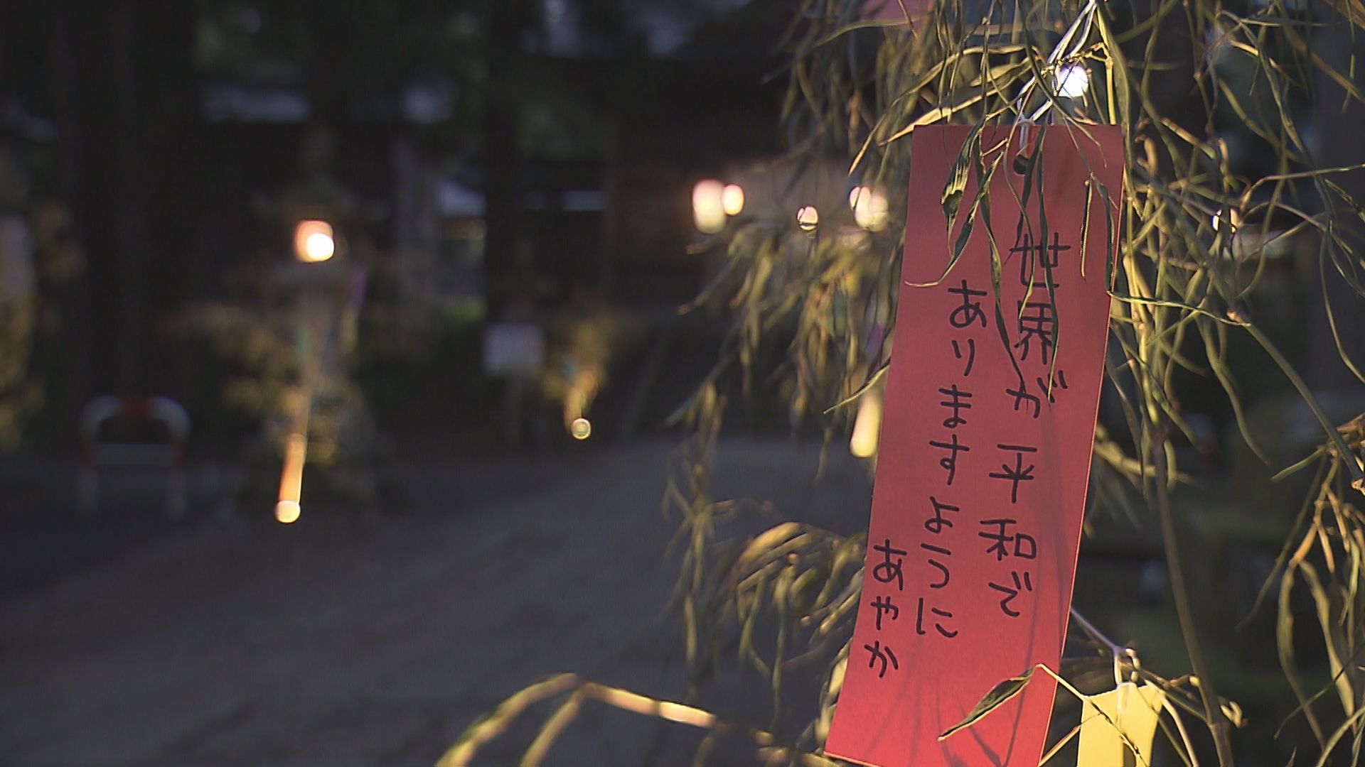 【新潟おでかけ情報】蒼柴神社で半年の感謝とさらなる平穏を願う「七夕夏詣」【新潟･長岡市】 2025年07月01日(火)