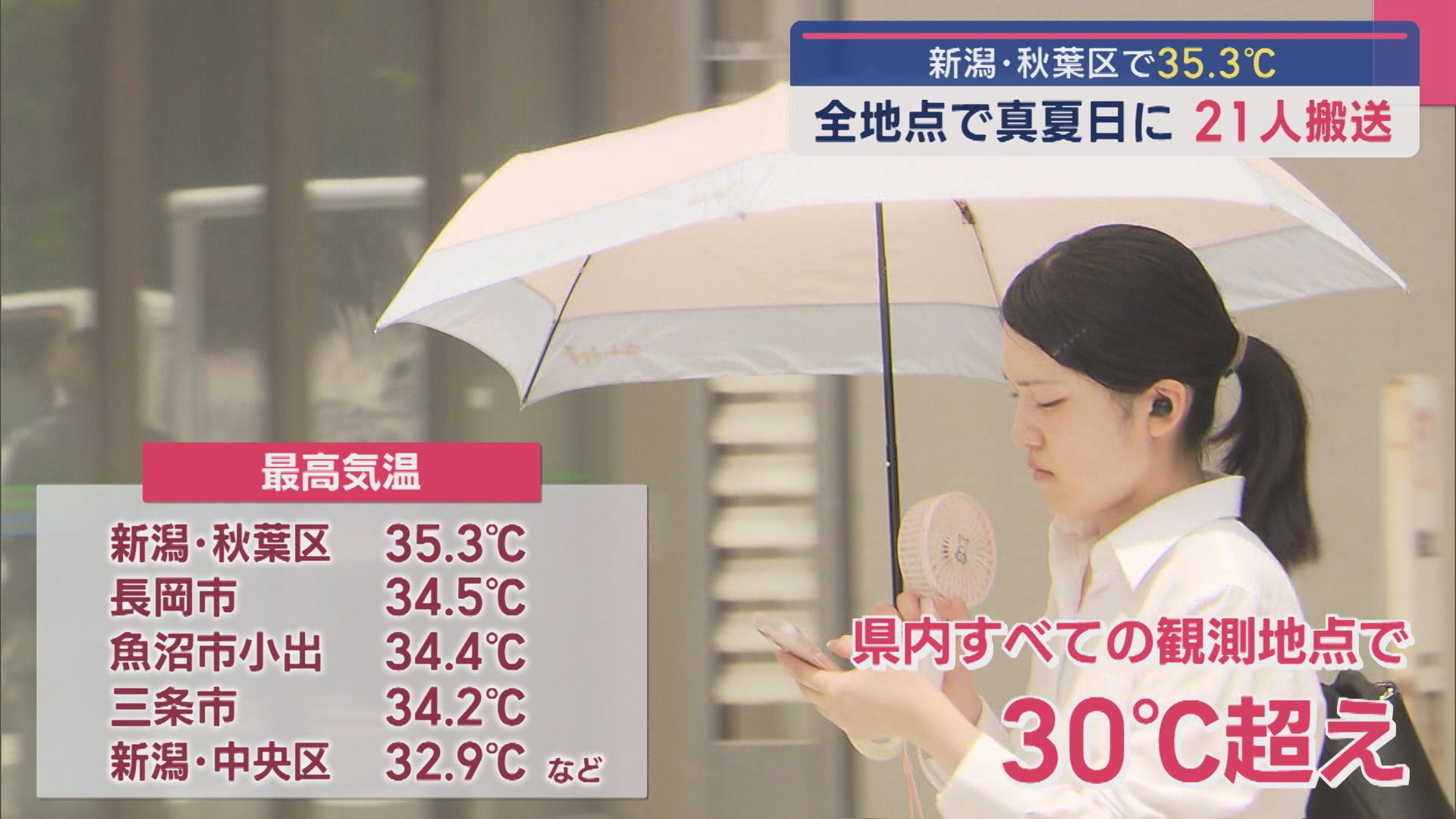 県内全地点で30℃超えの『真夏日』動物園のサルも暑さしのぐ【新潟】