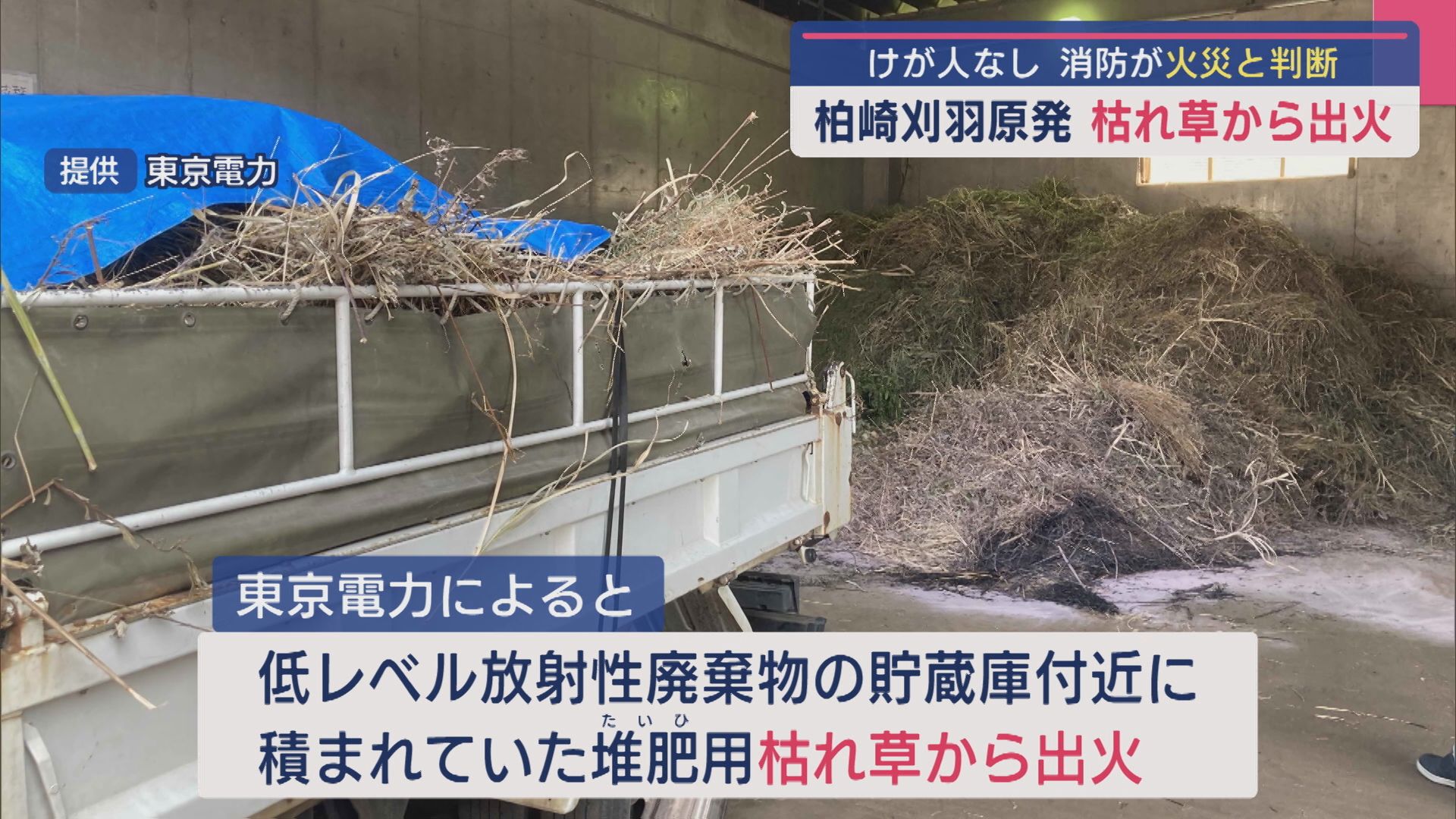 柏崎刈羽原発で枯れ草火災、消火器で消火 ケガ人なし【新潟】 2025年07月07日(月)