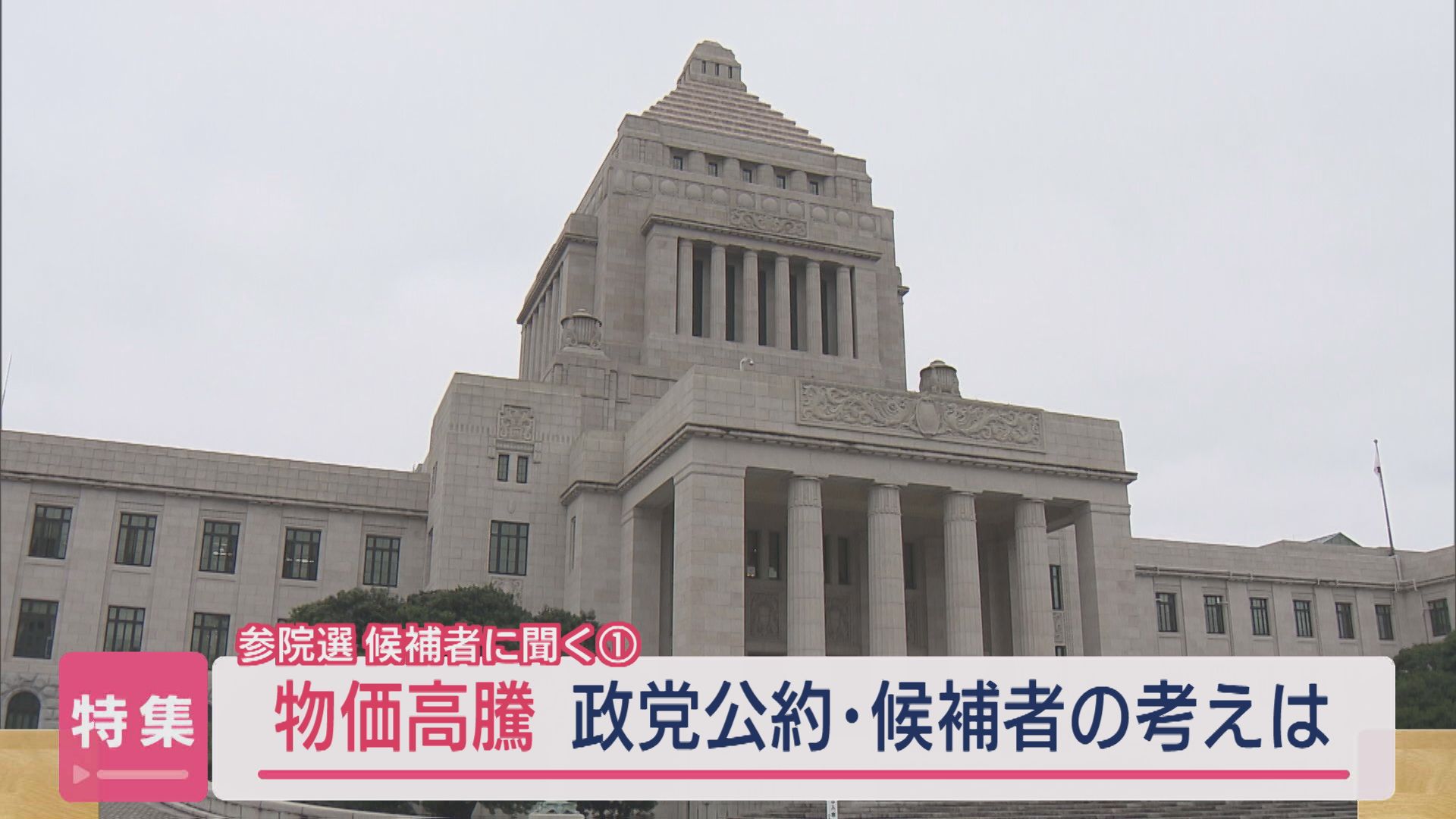 【参院選｜候補者に聞く①】「物価高騰」政党公約・候補者の考えは【新潟】 2025年07月09日(水)
