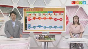 15日にかけて雨 その後は「連日の猛暑」「熱帯夜」に注意を【気象予報士が解説｜新潟】 2025年07月14日(月)