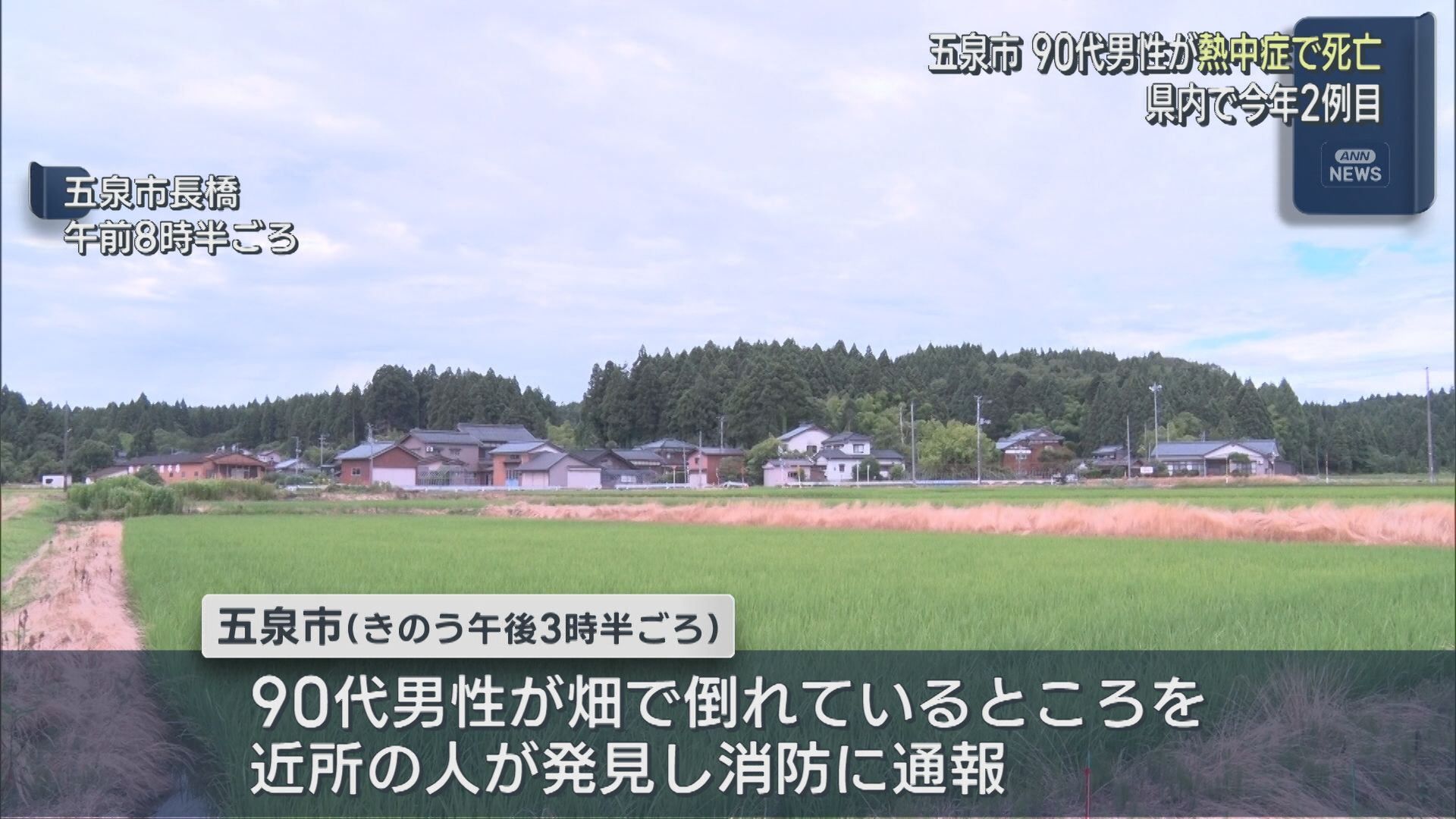 【熱中症注意】県内で今年2例目 畑で倒れていた90代男性が熱中症で死亡【新潟･五泉市】