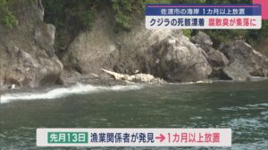 海岸に1カ月以上放置…クジラの死骸が漂着、腐敗臭が集落に【新潟･佐渡市】 2025年07月17日(木)