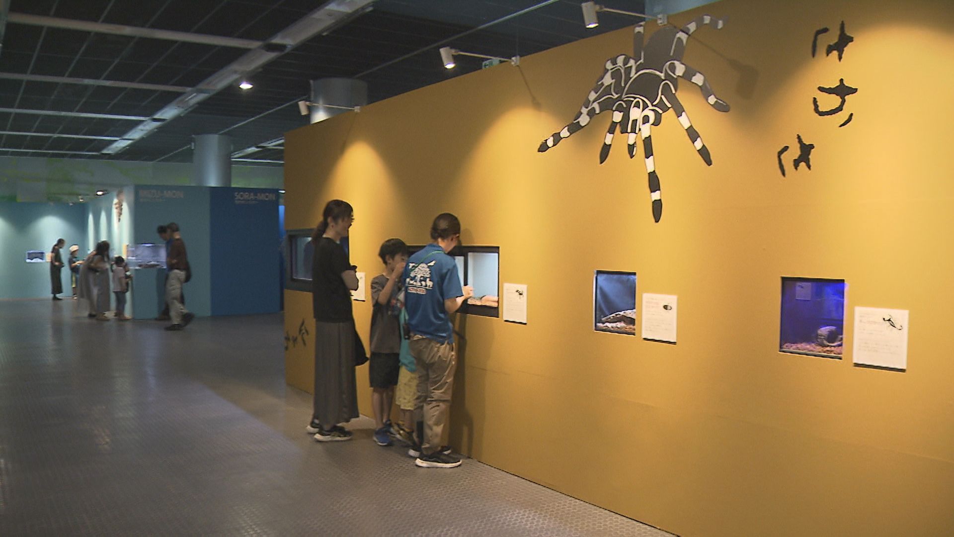 ナマケモノから危険生物まで!?県立自然科学館「リトルモンスター展」始まる【新潟】 2025年07月20日(日)