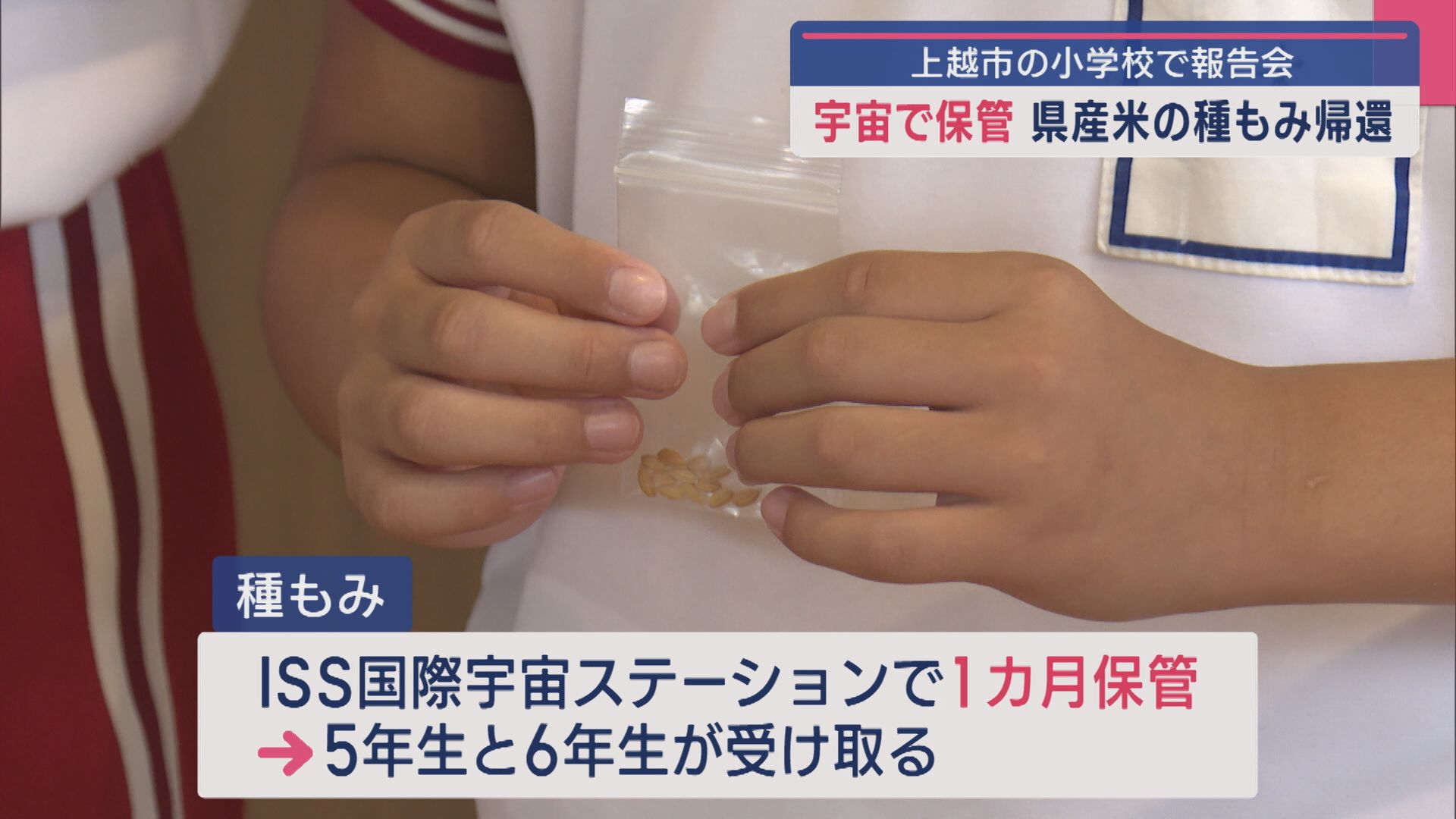 宇宙へ飛んだ県産米の種もみが小学生のもとへ「夢があると思った」【新潟･上越市】 2025年07月30日(水)