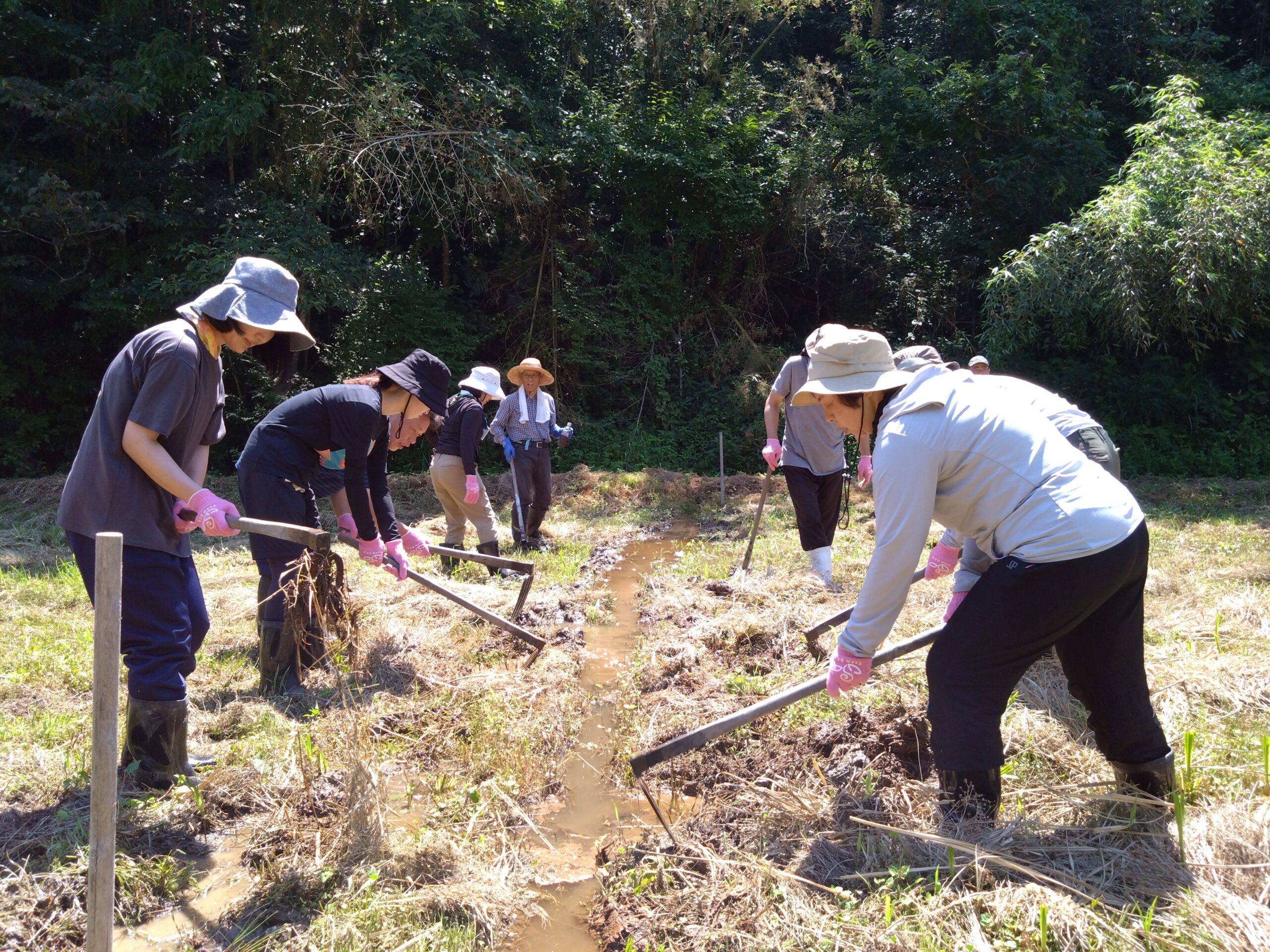 佐渡市新穂潟上でTeam ECO Work！を開催🌈
