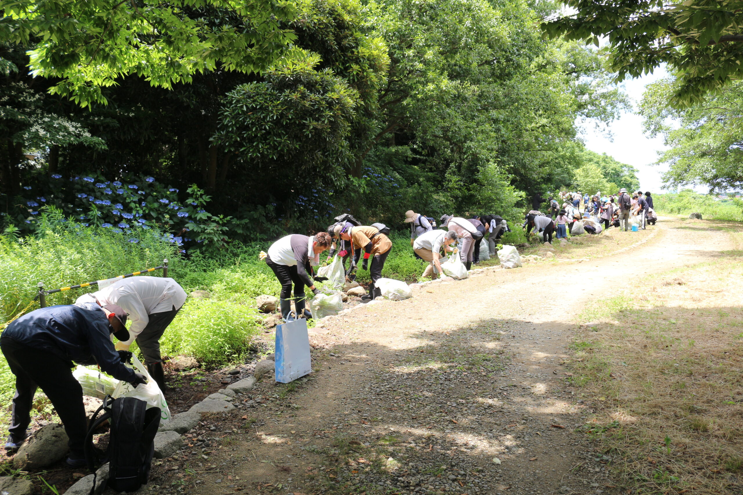 新潟県立鳥屋野潟公園でTeam ECO Work！を開催🌈