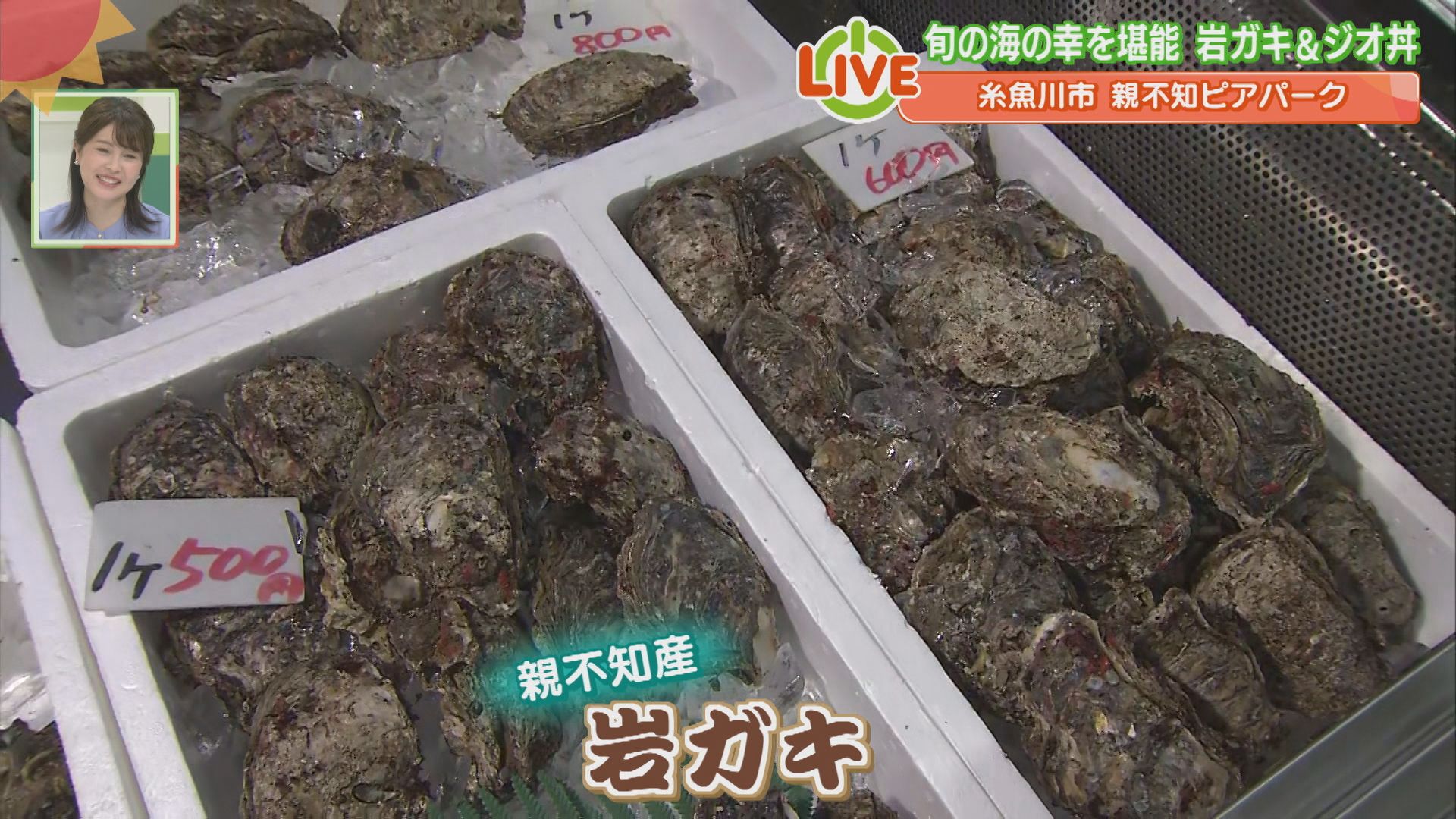 親不知産岩ガキが解禁！豪華どんぶりも！