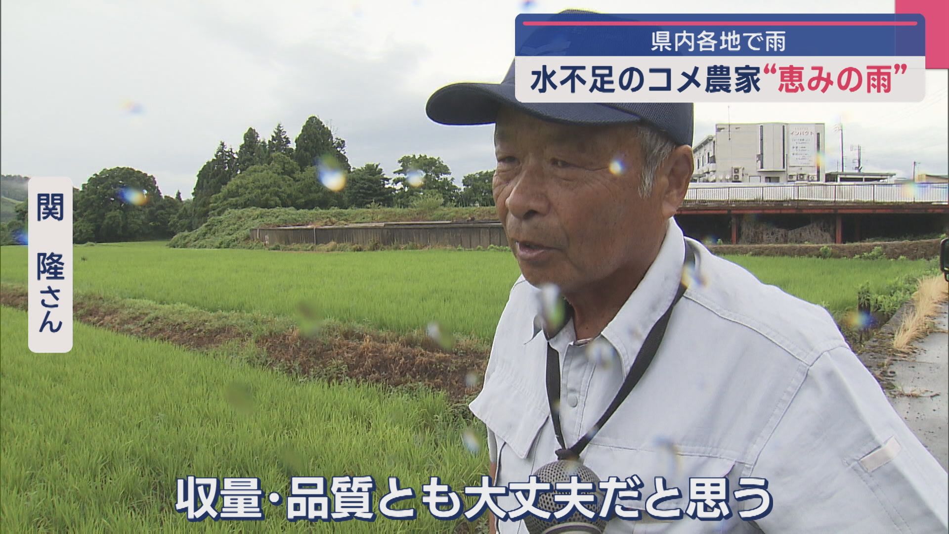 水不足のコメ農家…恵みの雨に「イネが喜んでいる」県内各地で雨【新潟･魚沼市】