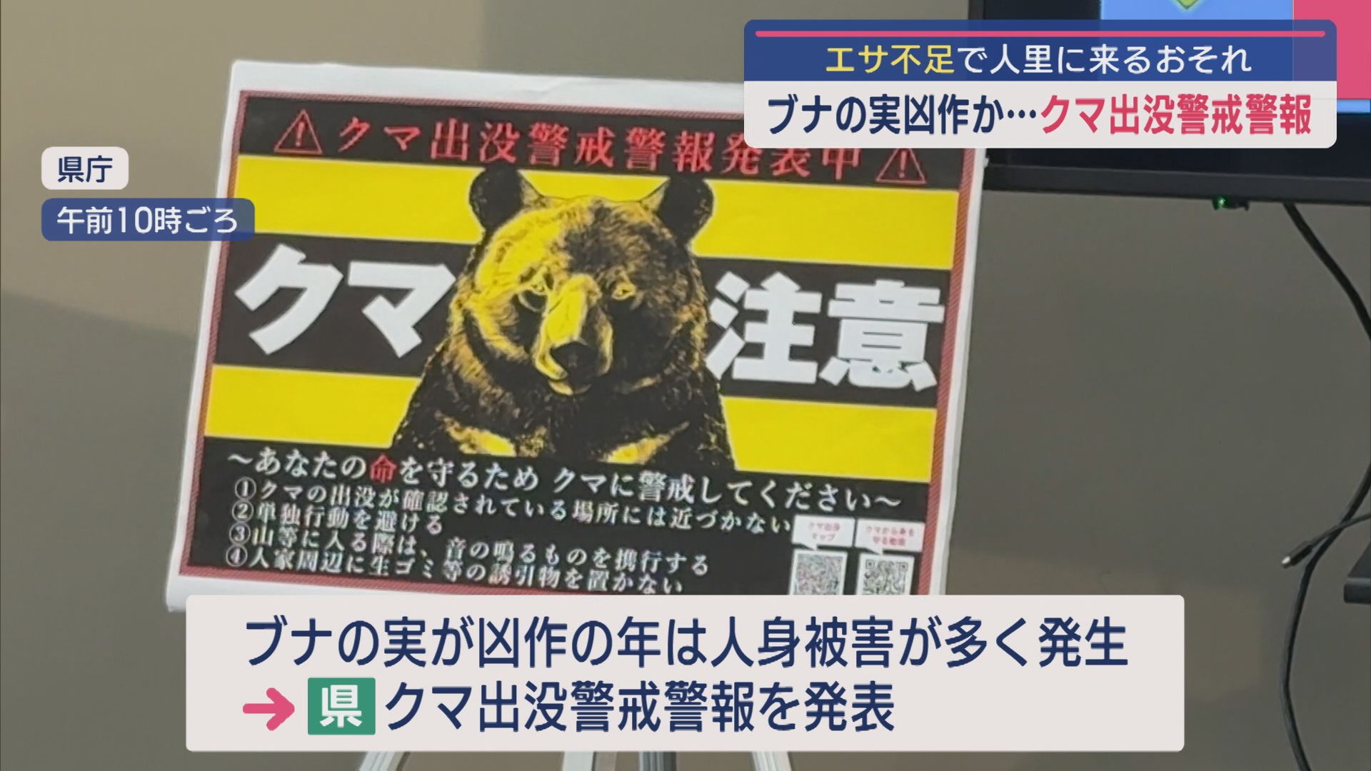 【クマ出没警戒警報】ブナの実凶作か…エサ不足で人里に来るおそれ【新潟】