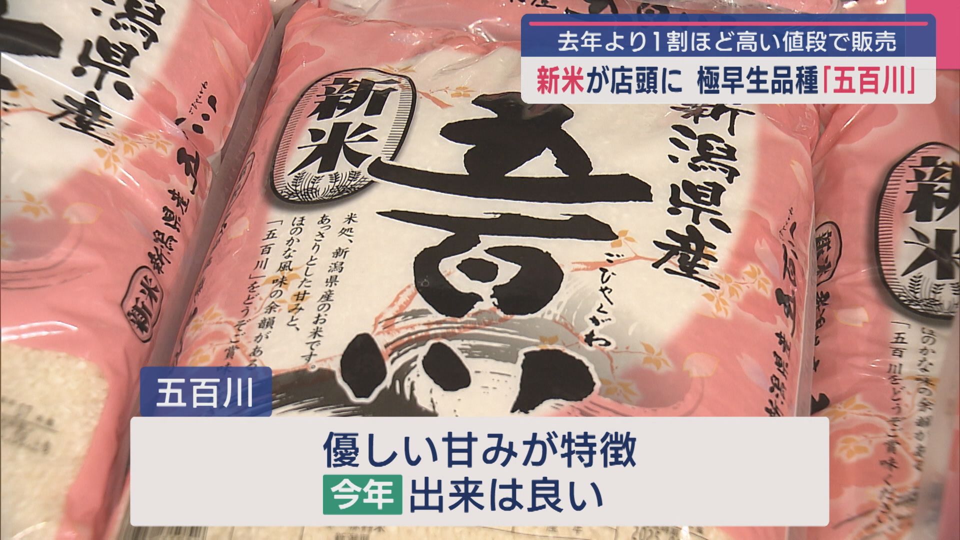 新米が店頭に 極早生品種「五百川」去年より1割ほど高い値段で販売【新潟】 2025年08月11日(月)
