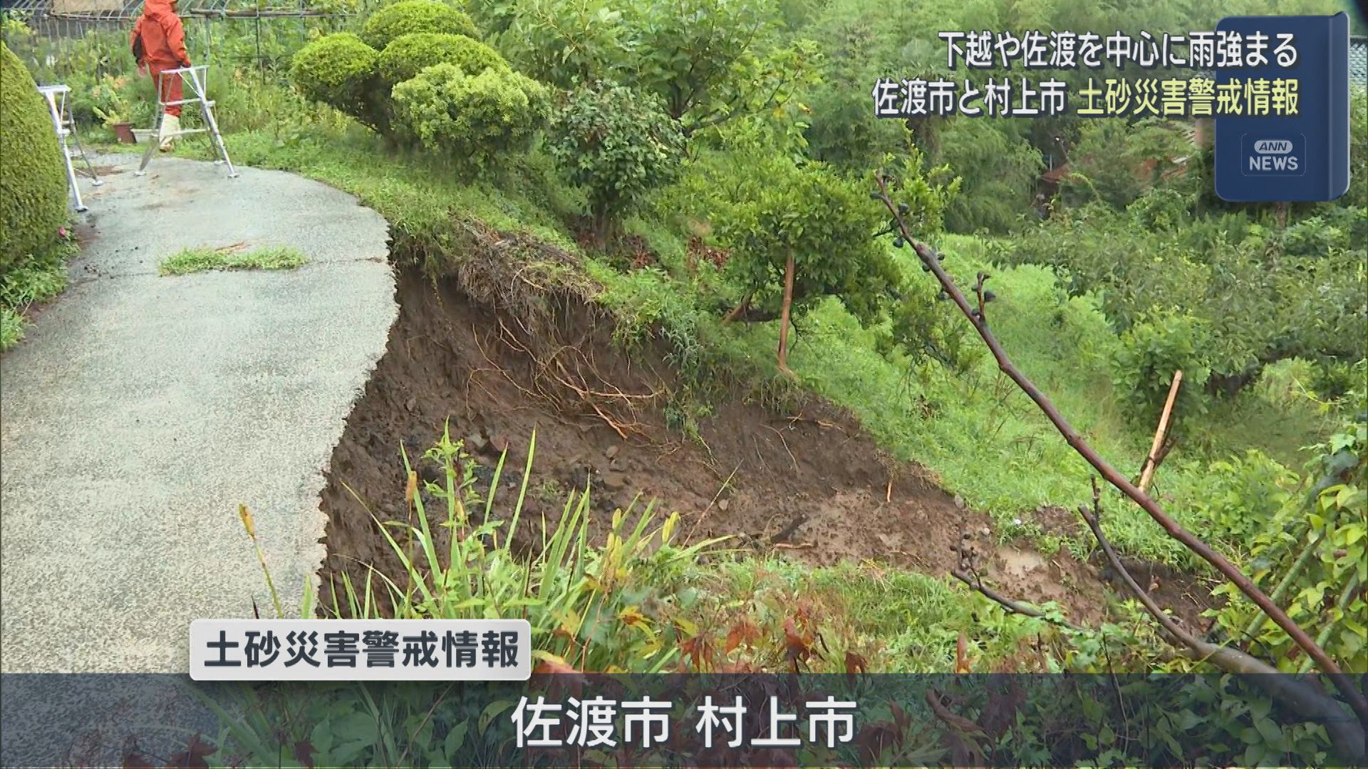 下越や佐渡を中心に雨強まる、佐渡市と村上市で「土砂災害警戒情報」【新潟】 2025年08月12日(火)