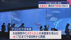 イルカの迫力ジャンプ！「ぬれなくて楽しい」県内の行楽地 お盆休みにぎわう【新潟】 2025年08月12日(火)