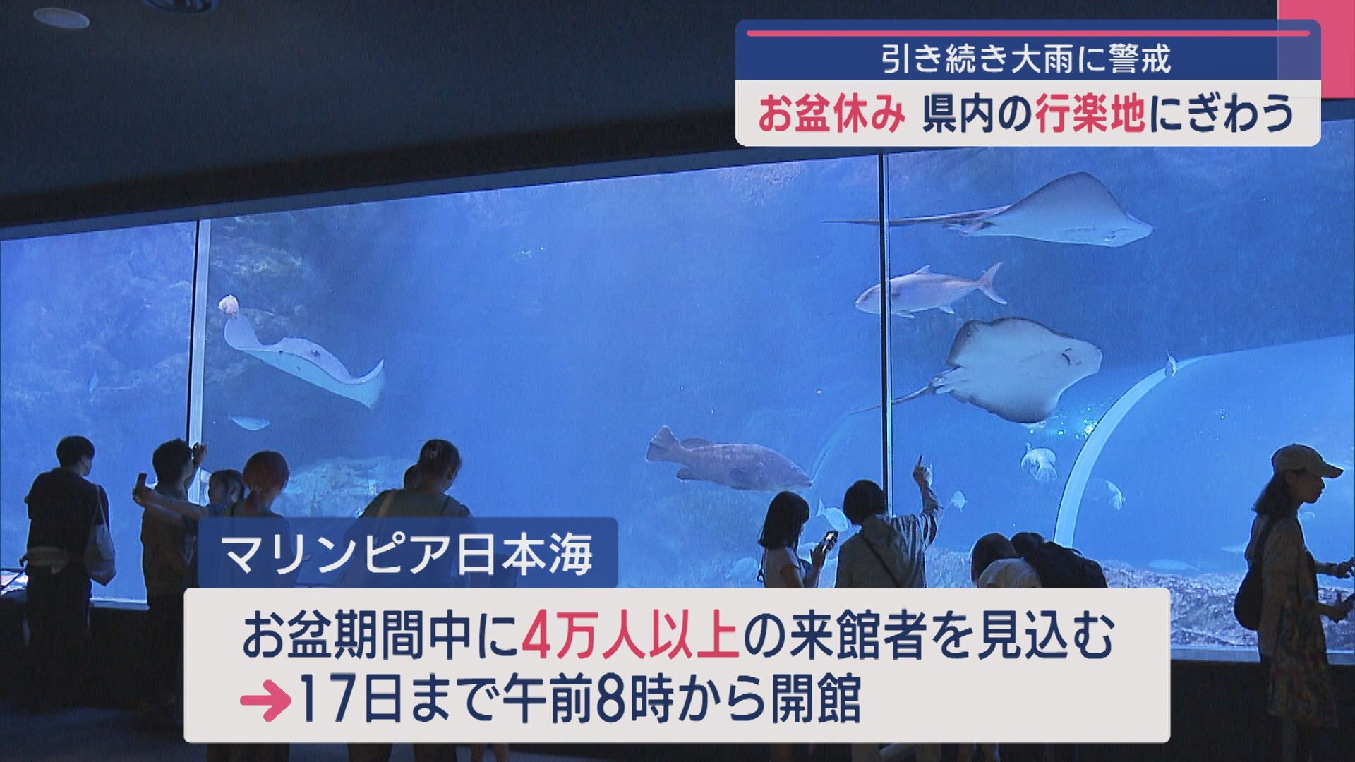 イルカの迫力ジャンプ！「ぬれなくて楽しい」県内の行楽地 お盆休みにぎわう【新潟】