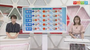 15日にかけて所々で雷雨、お盆後半の天気も【気象予報士が解説｜新潟】 2025年08月14日(木)