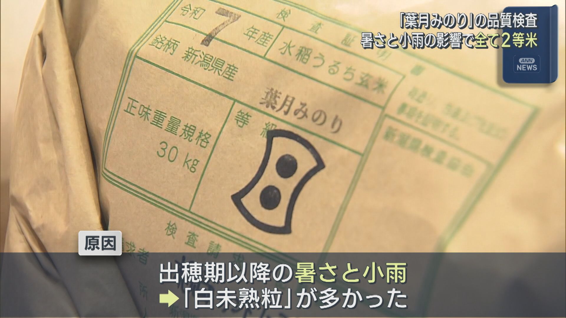 極早生品種「葉月みのり」暑さと小雨の影響ですべて2等米「食味値高く味に変わりない」【新潟】 2025年08月19日(火)