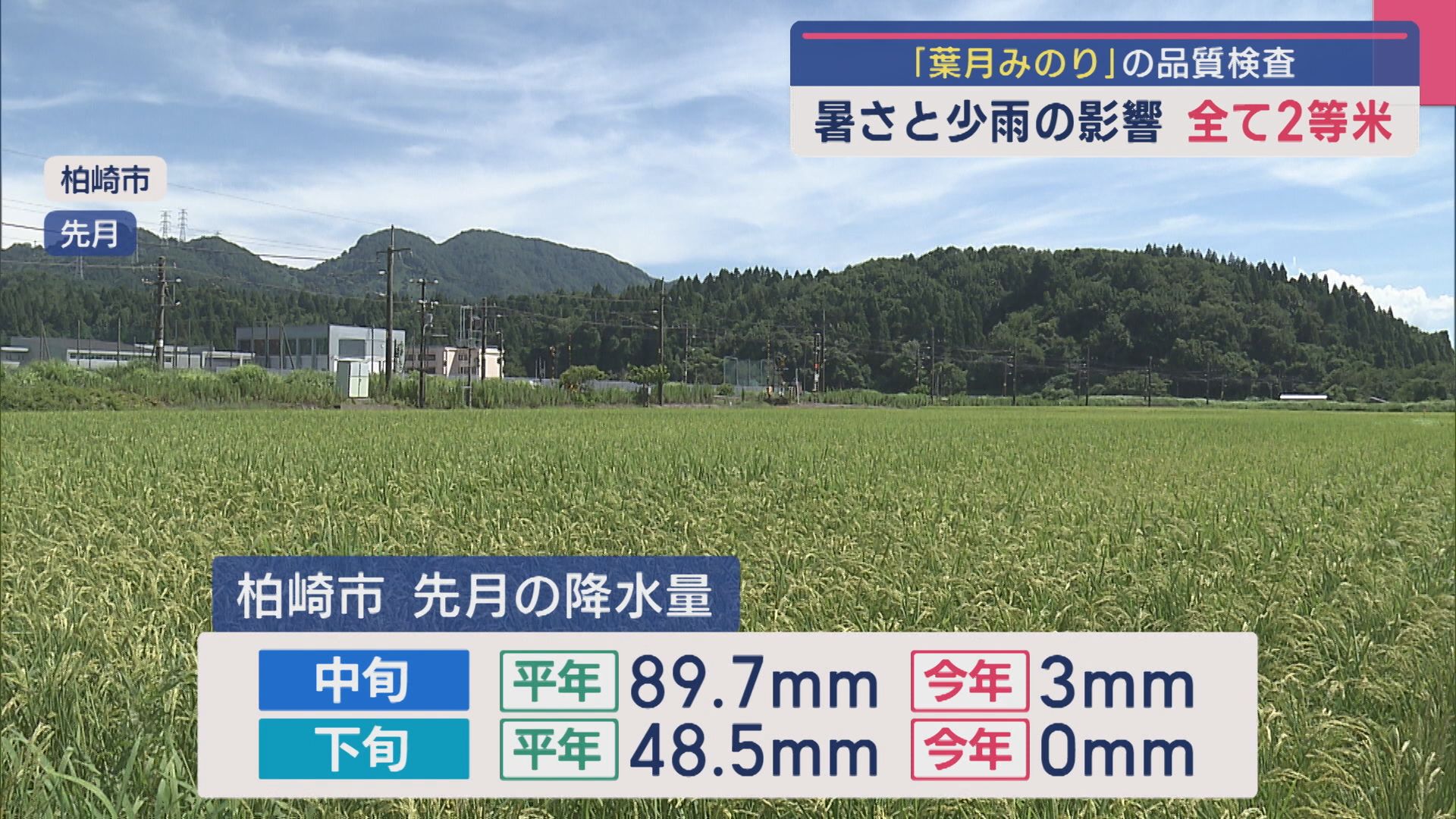 7月中旬の降水量わずか3mm…暑さと少雨が影響「葉月みのり」すべて2等米【新潟】 2025年08月19日(火)