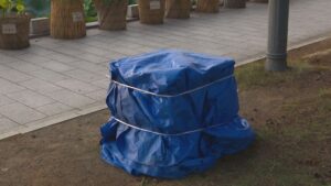 高田城址公園のブロンズ像が盗難 警察が窃盗事件として捜査【新潟･上越市】 2025年08月28日(木)