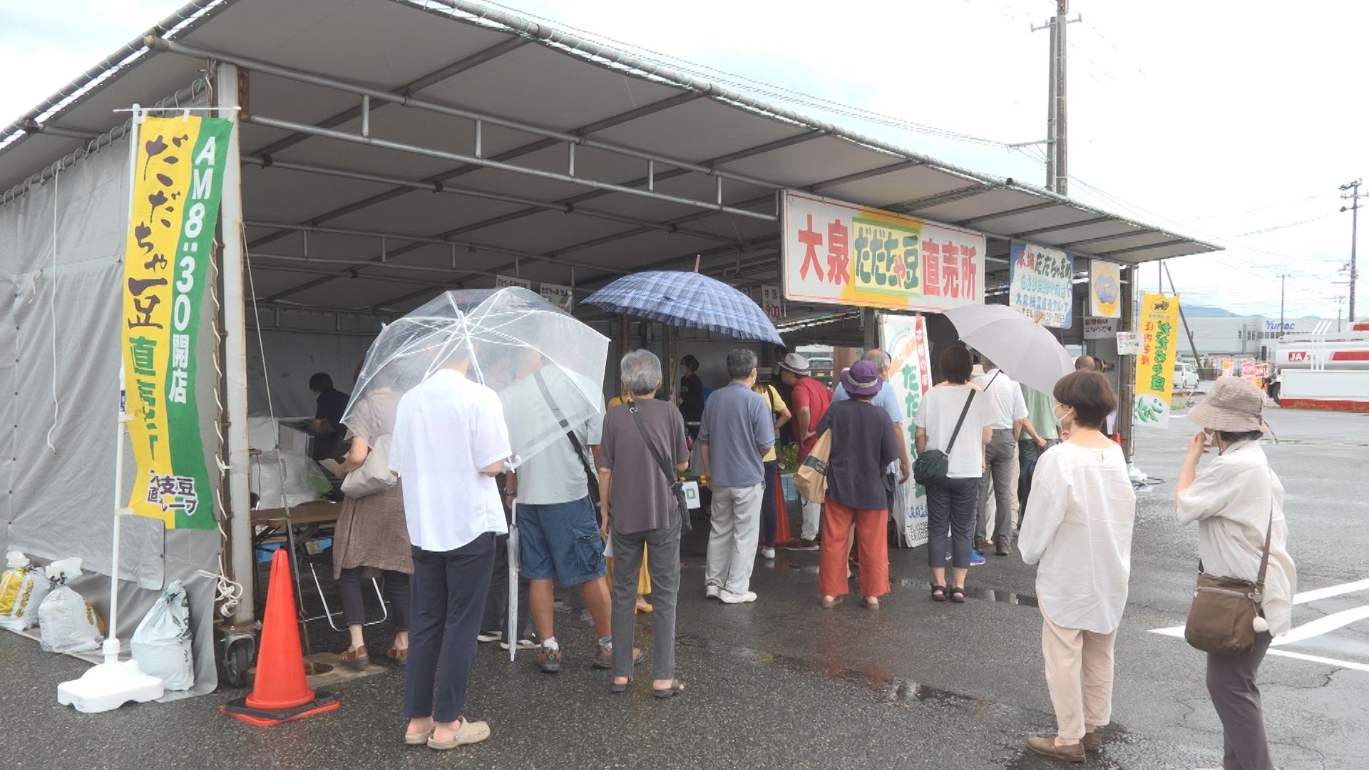 行列必至！朝採れ“だだちゃ豆” 山形県鶴岡市 後編
