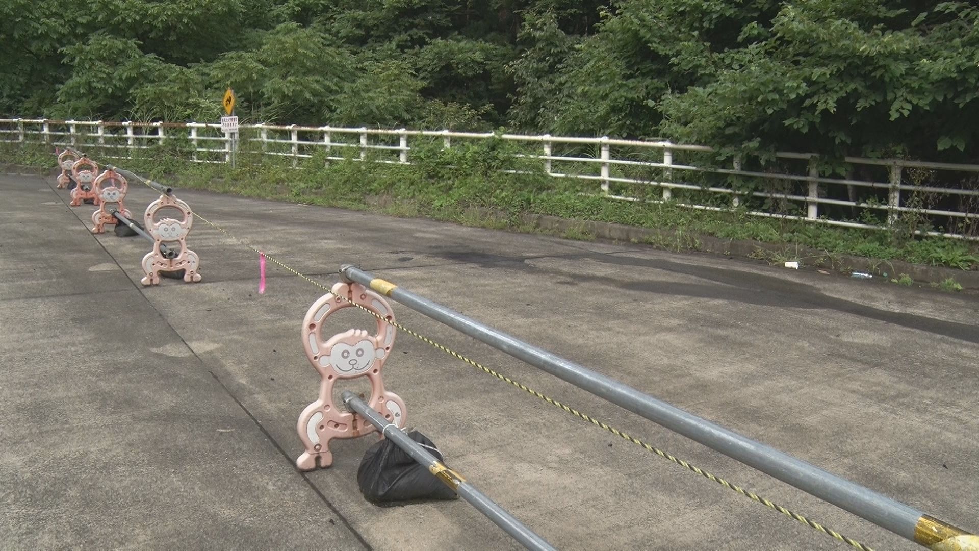 国道49号沿いの待避所で男性遺体「人が倒れている。燃えている」【新潟･阿賀町】