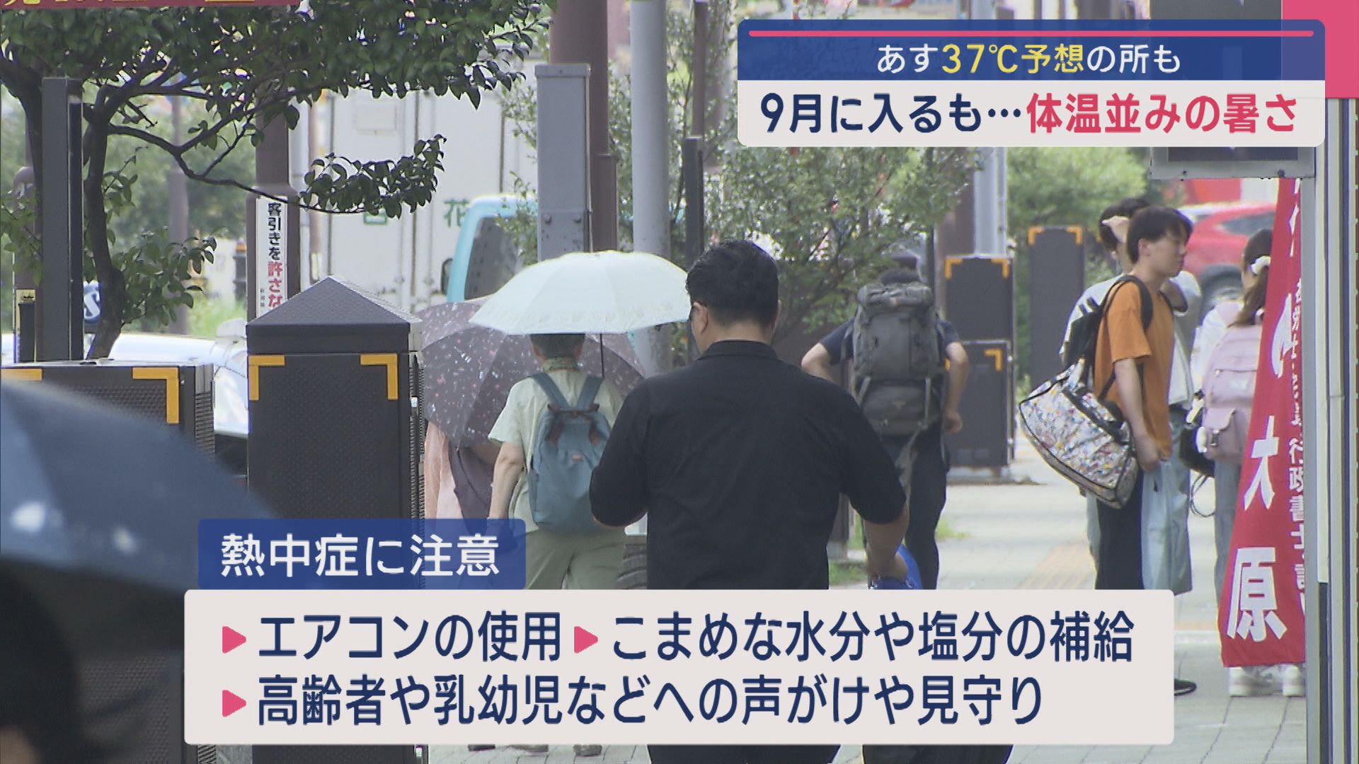 9月に入るも･･･体温並みの暑さ 明日37℃予想のところも【新潟】 2025年09月01日(月)