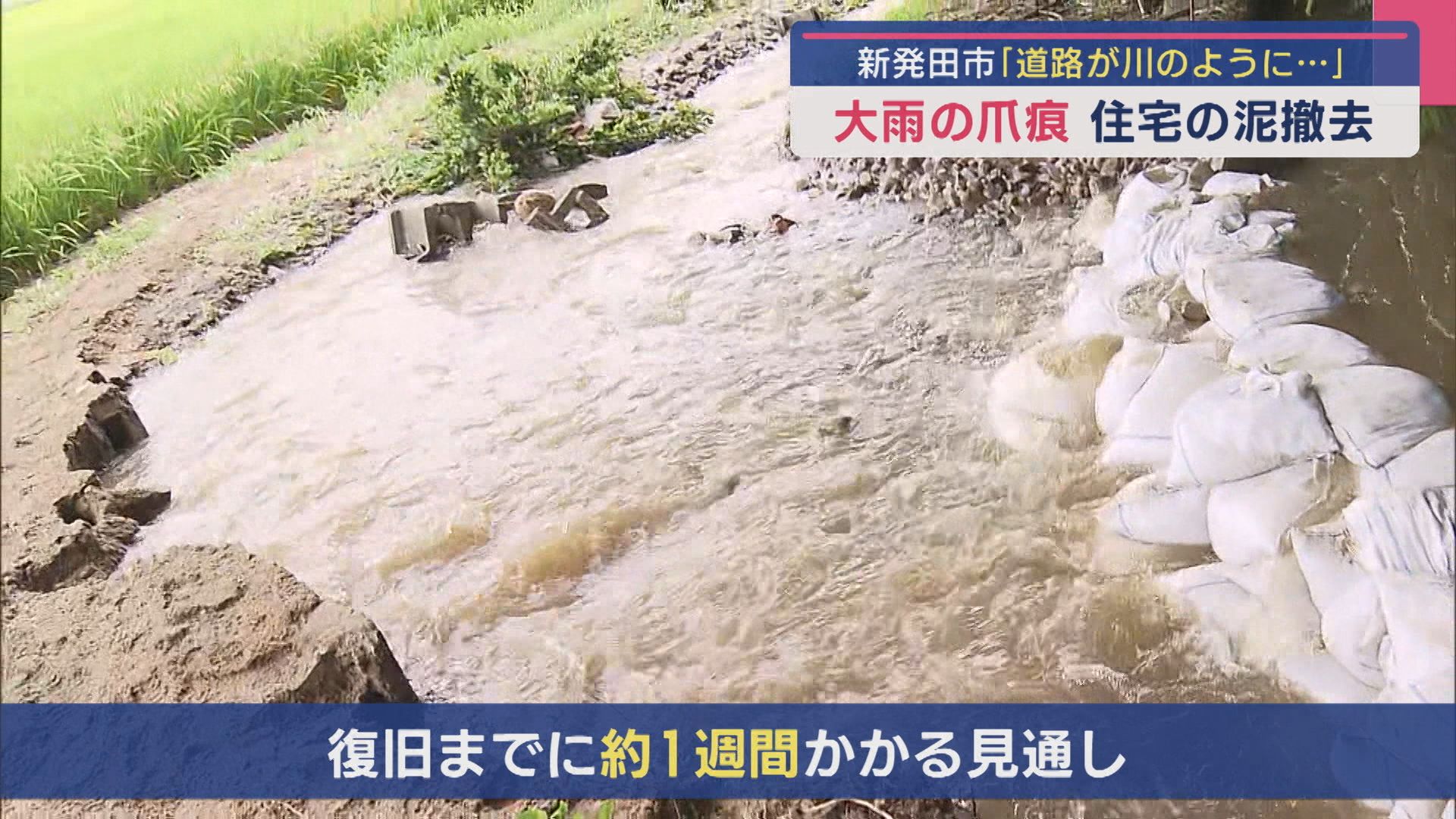 大雨の爪痕「道路が川のように」住宅の泥…撤去作業に追われる【新潟･新発田市】 2025年09月09日(火)