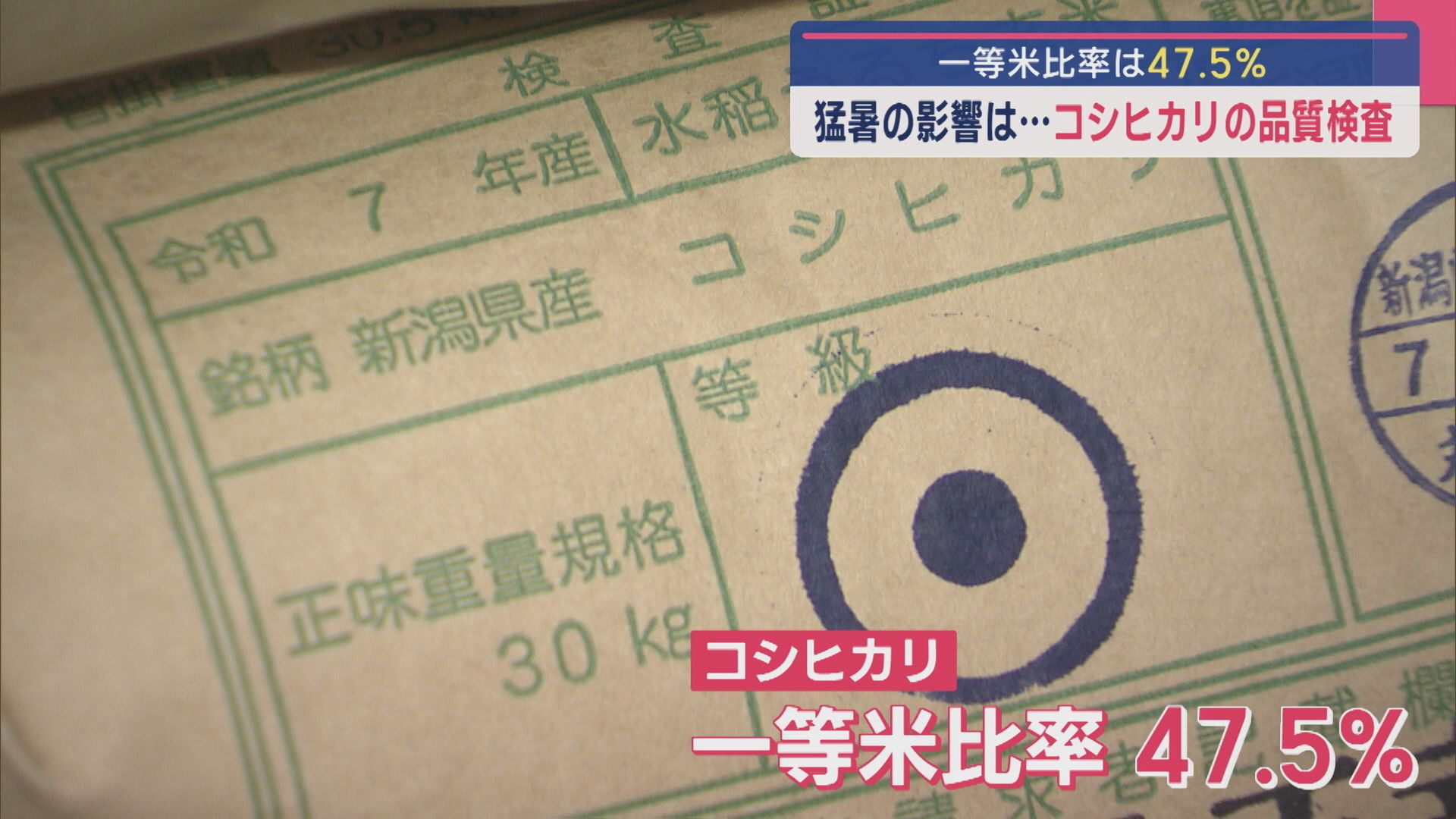 猛暑の影響は･･･コシヒカリの品質検査 一等米比率は47.5%【新潟】