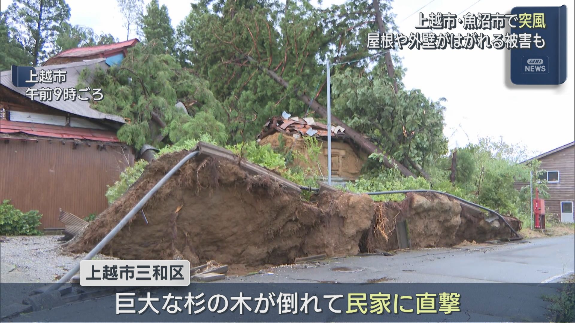 上越市･魚沼市で突風による被害発生、木が倒れ民家直撃も【新潟】