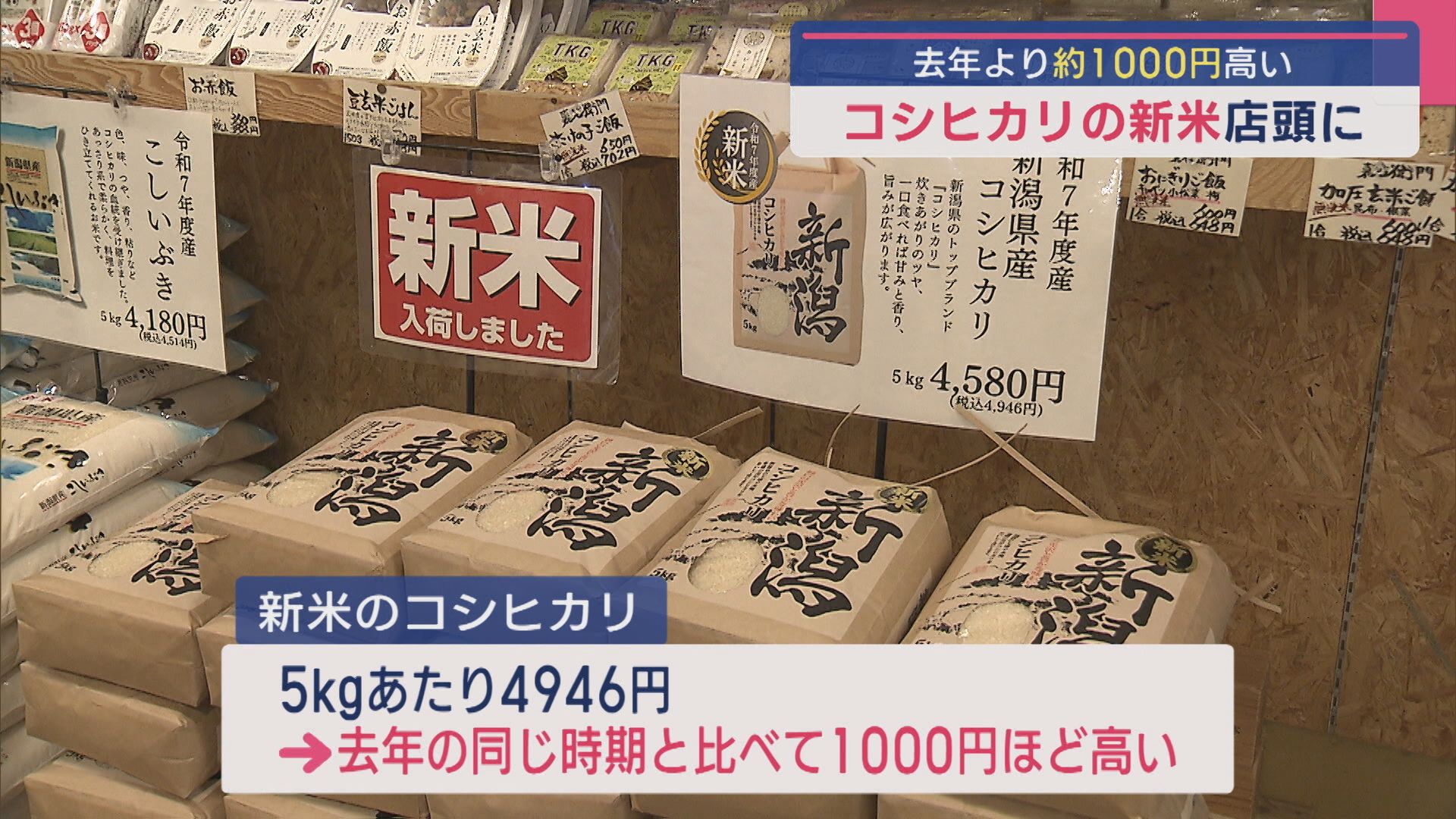 「コシヒカリ」の新米が店頭に並ぶ 去年より1000円ほど高い【新潟】