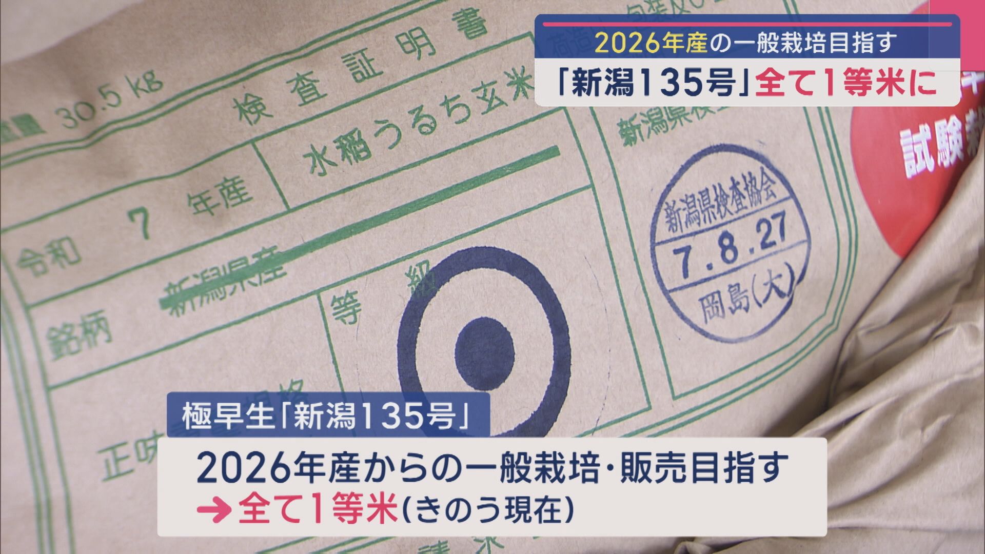 「新潟135号」すべて1等米に 2026年産の一般栽培目指す【新潟】