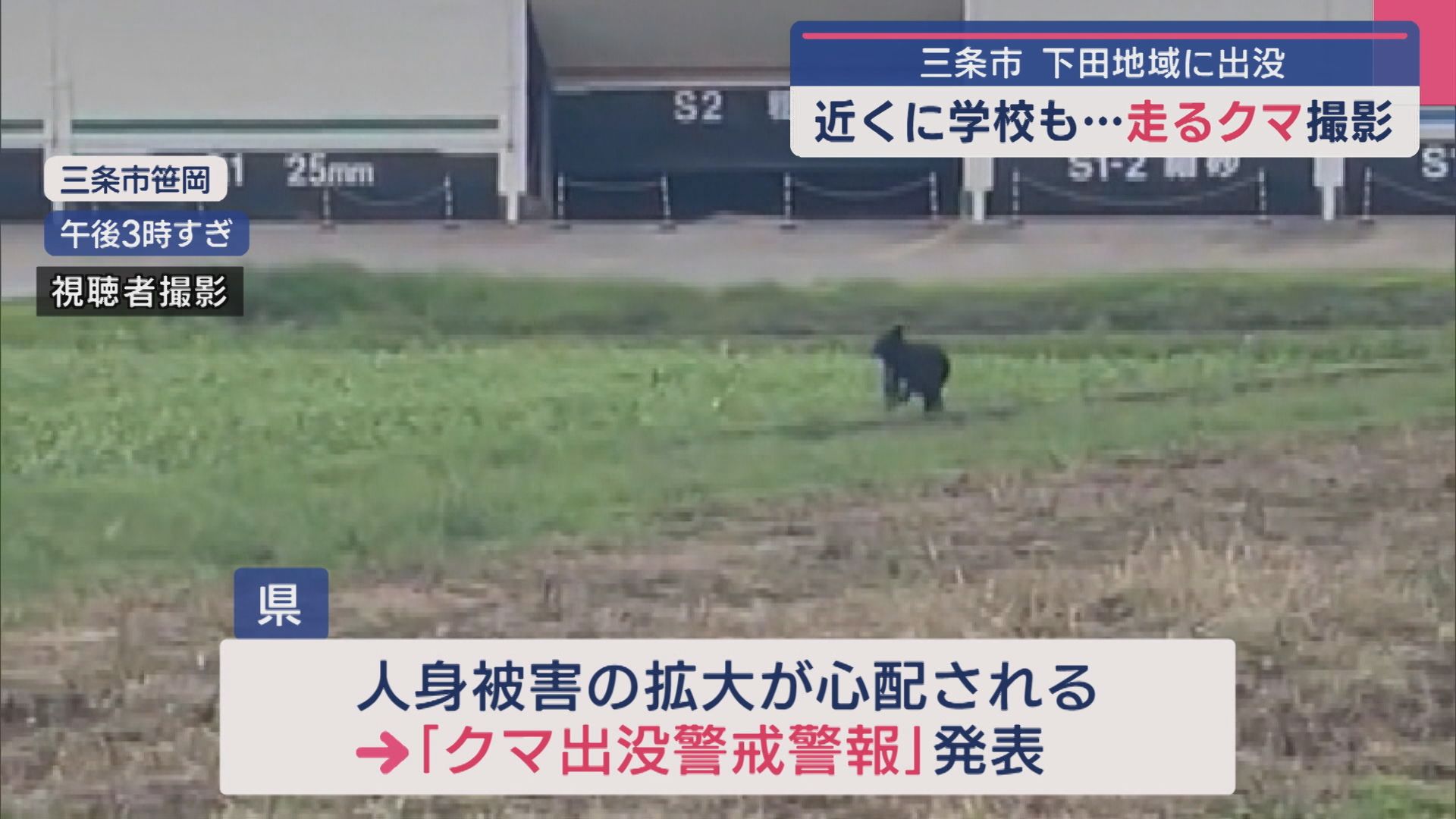 走るクマが撮影される 近くに学校も･･･三条市･下田地域に出没、注意･警戒を【新潟】 2025年09月12日(金)