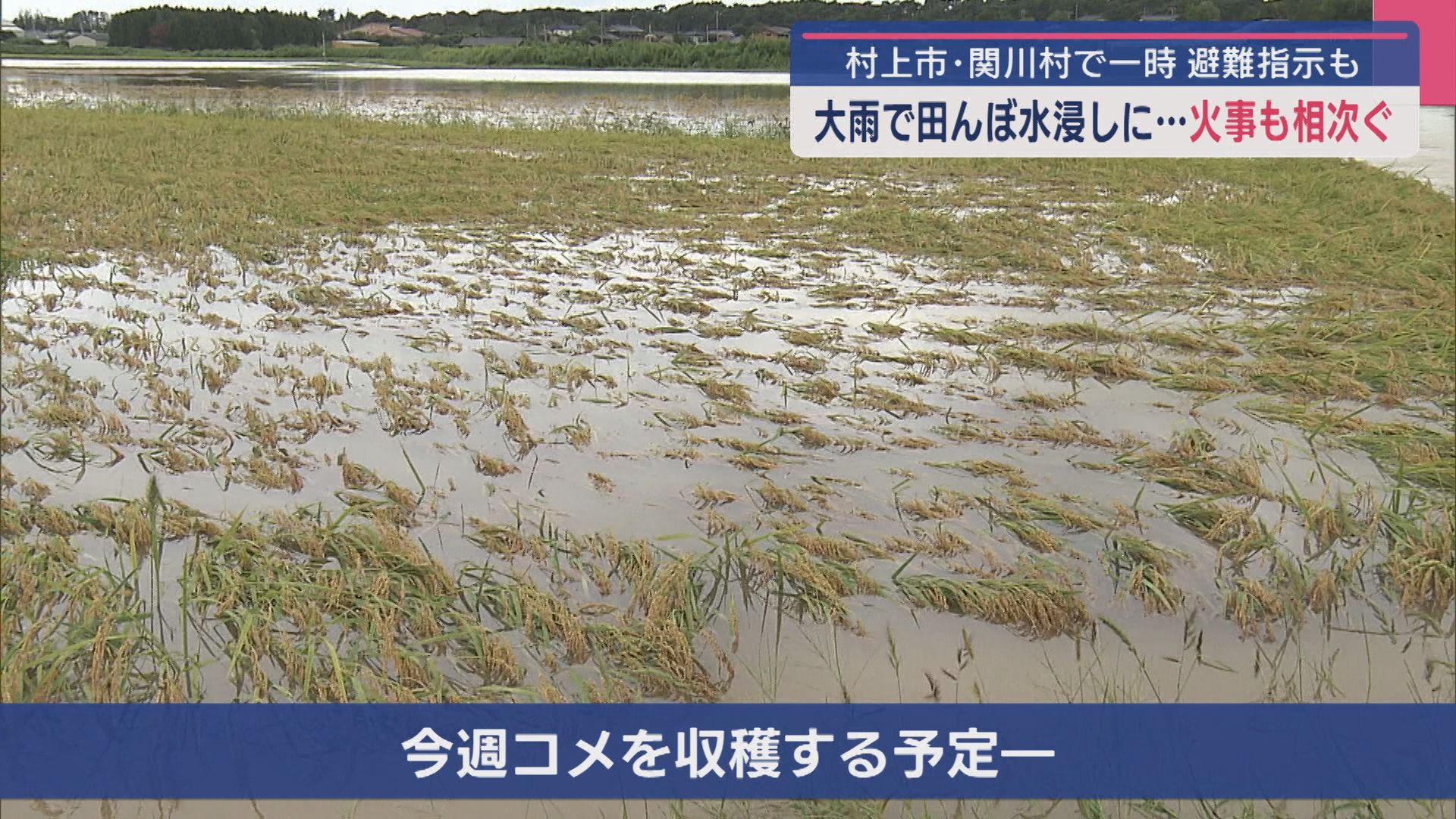 大雨で田んぼ水浸しで収穫前のコメが･･･火事も相次ぐ、下越を中心に大雨に【新潟】 2025年09月18日(木)