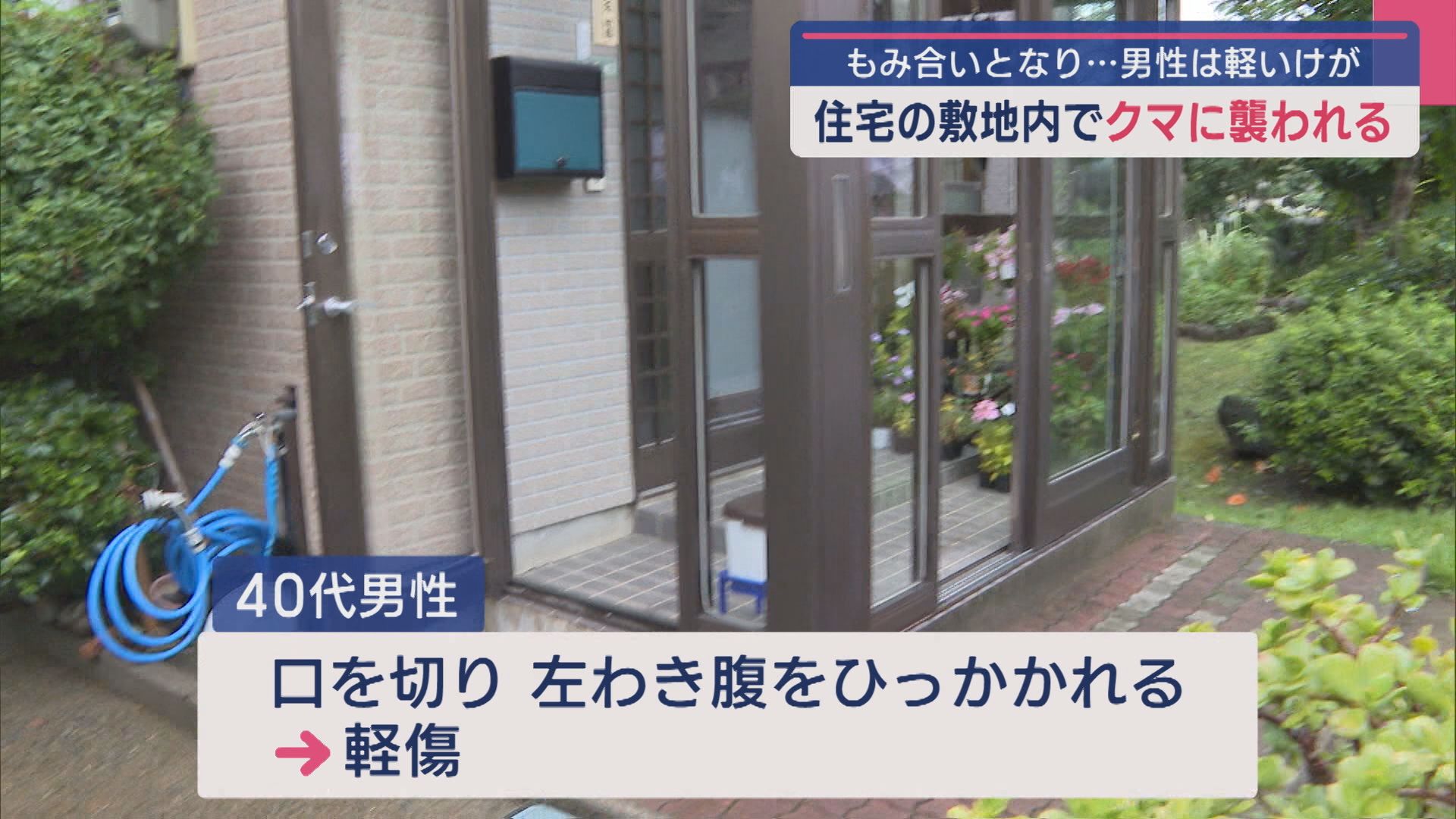 「ウォウォというが音が聞こえて」住宅の敷地内でクマに襲われもみ合いに、男性が軽いケガ【新潟･長岡市】 2025年09月18日(木)