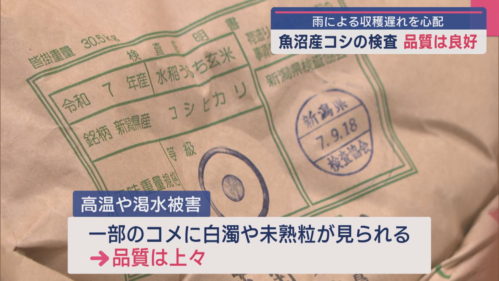 品質は良好 「魚沼産コシヒカリ」検査、雨による収穫遅れを心配【新潟】 2025年09月18日(木)