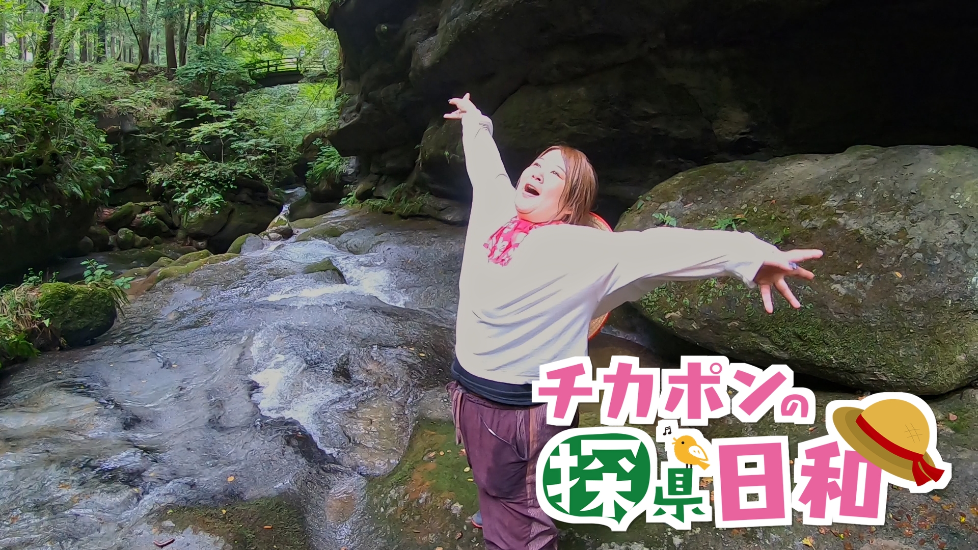 #244 新発田市