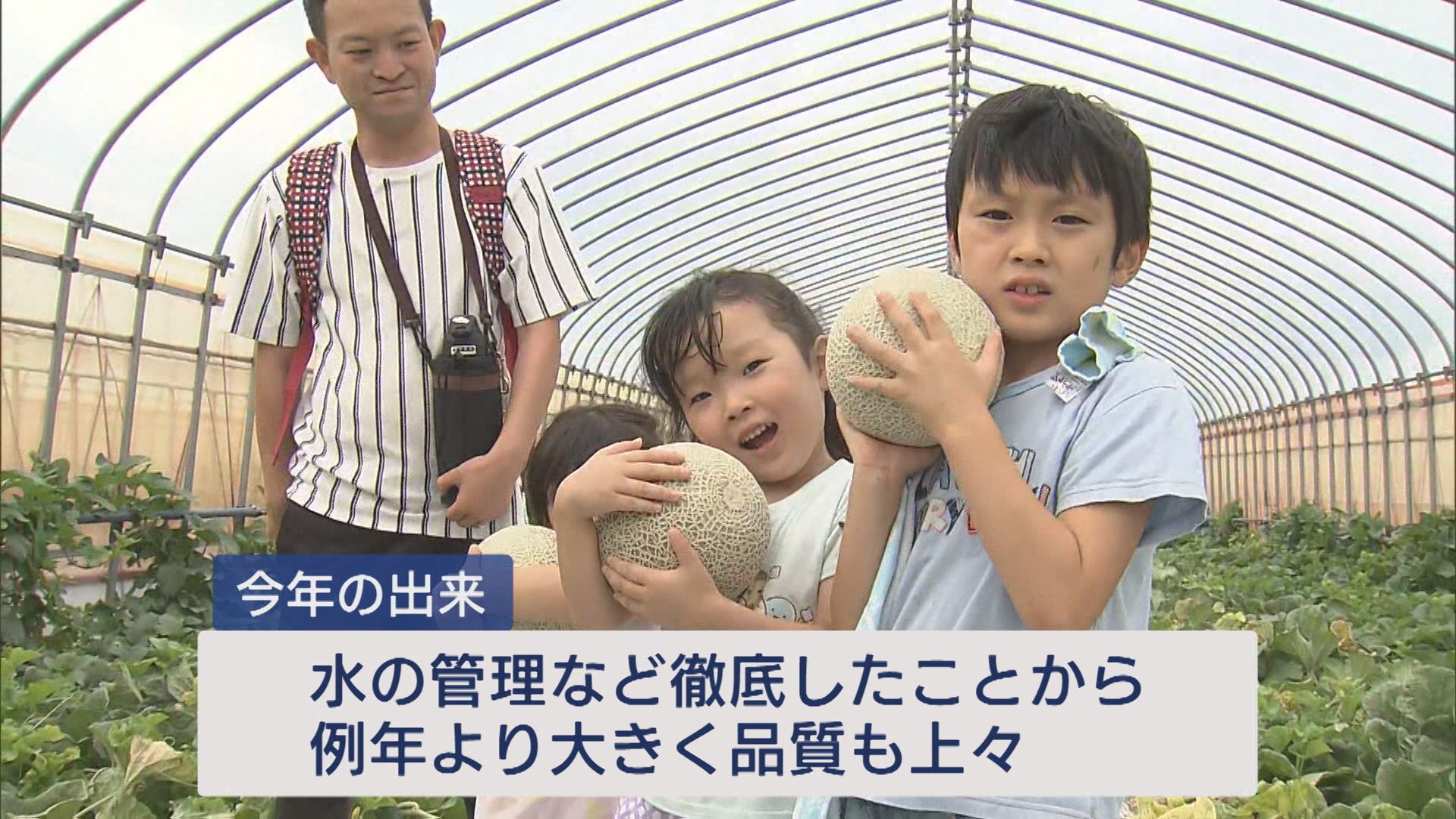 新潟市西区の農園で「探すのが楽しかった」子どもたちがメロンの収穫体験【新潟】